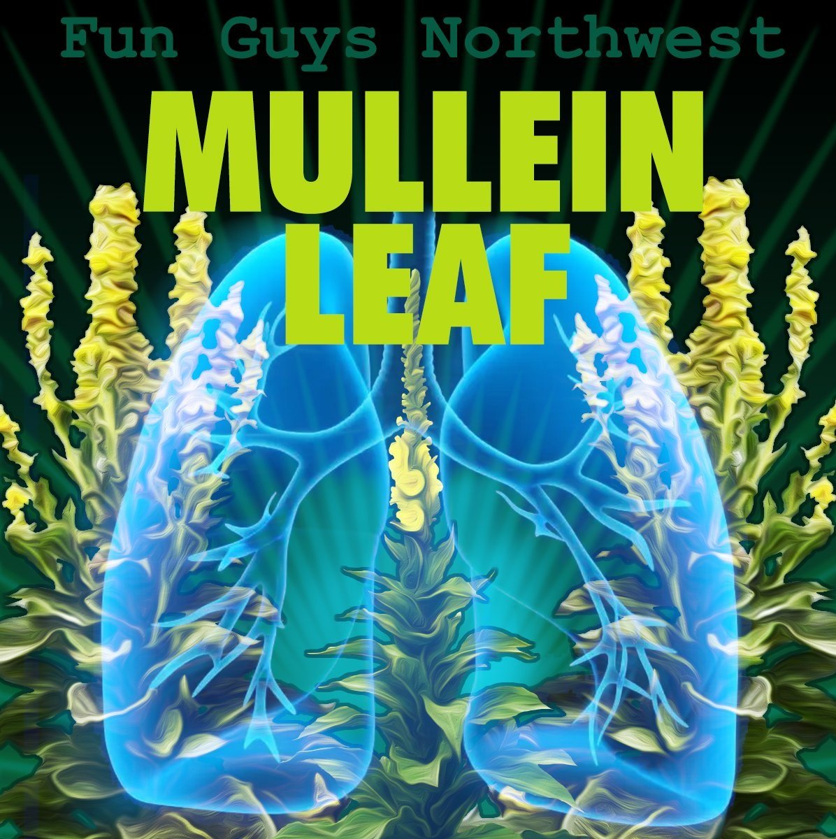 Mullein Tincture