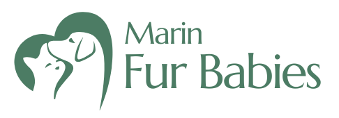 Marin Fur Babies