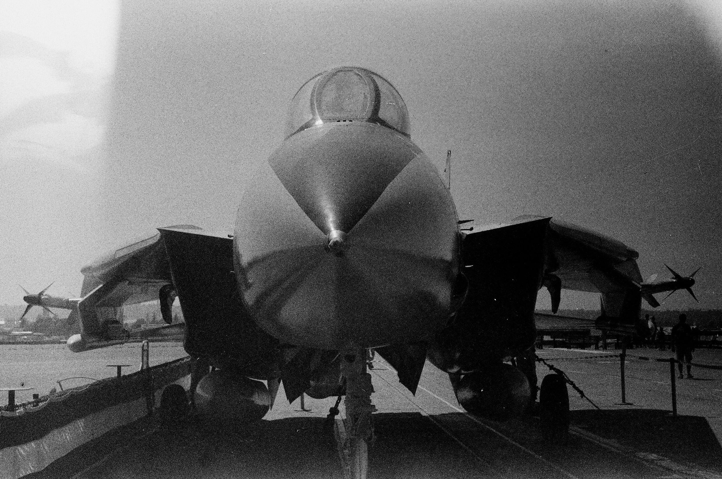 F14.jpg