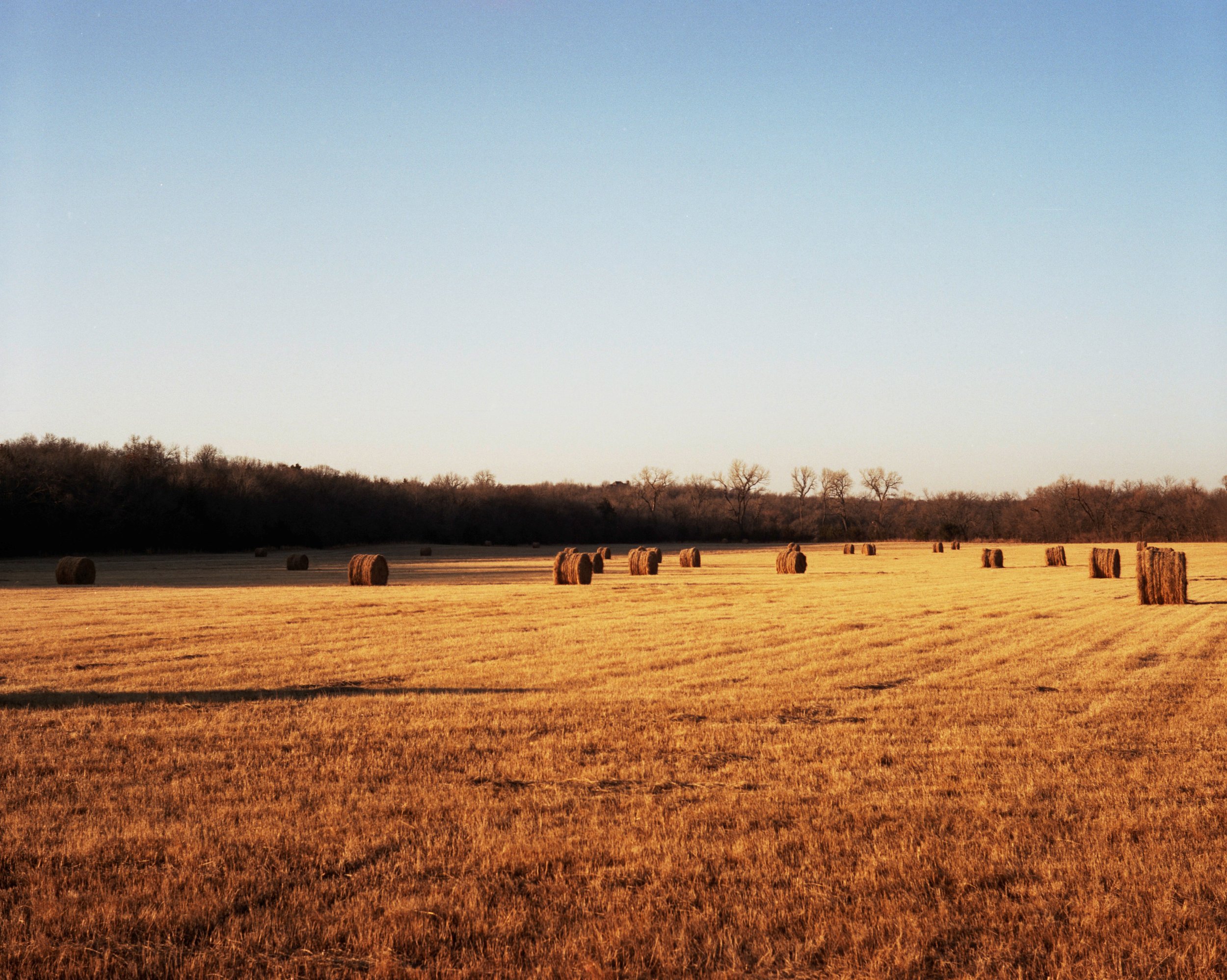 Outside Depew.jpg