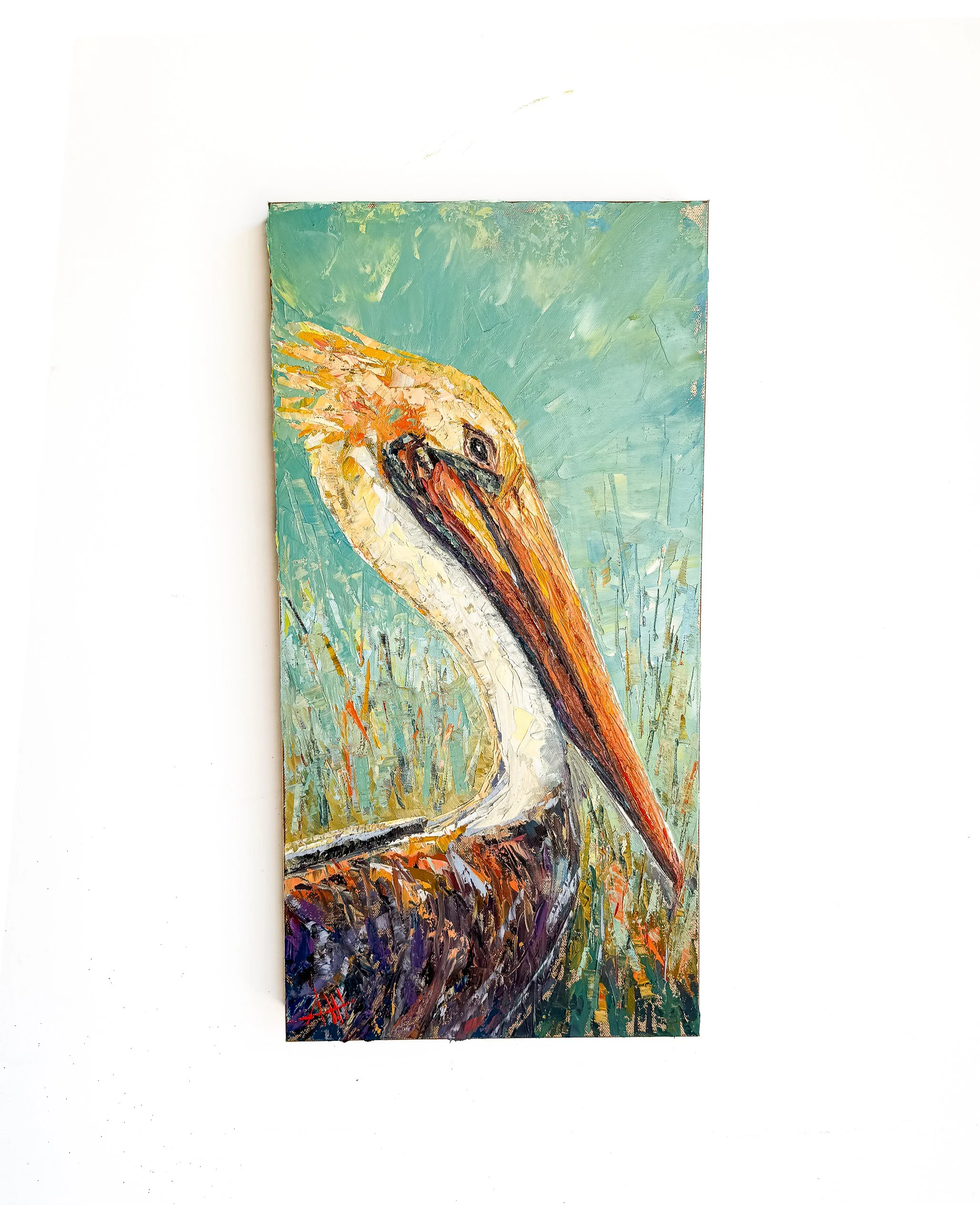 pelican_.jpg
