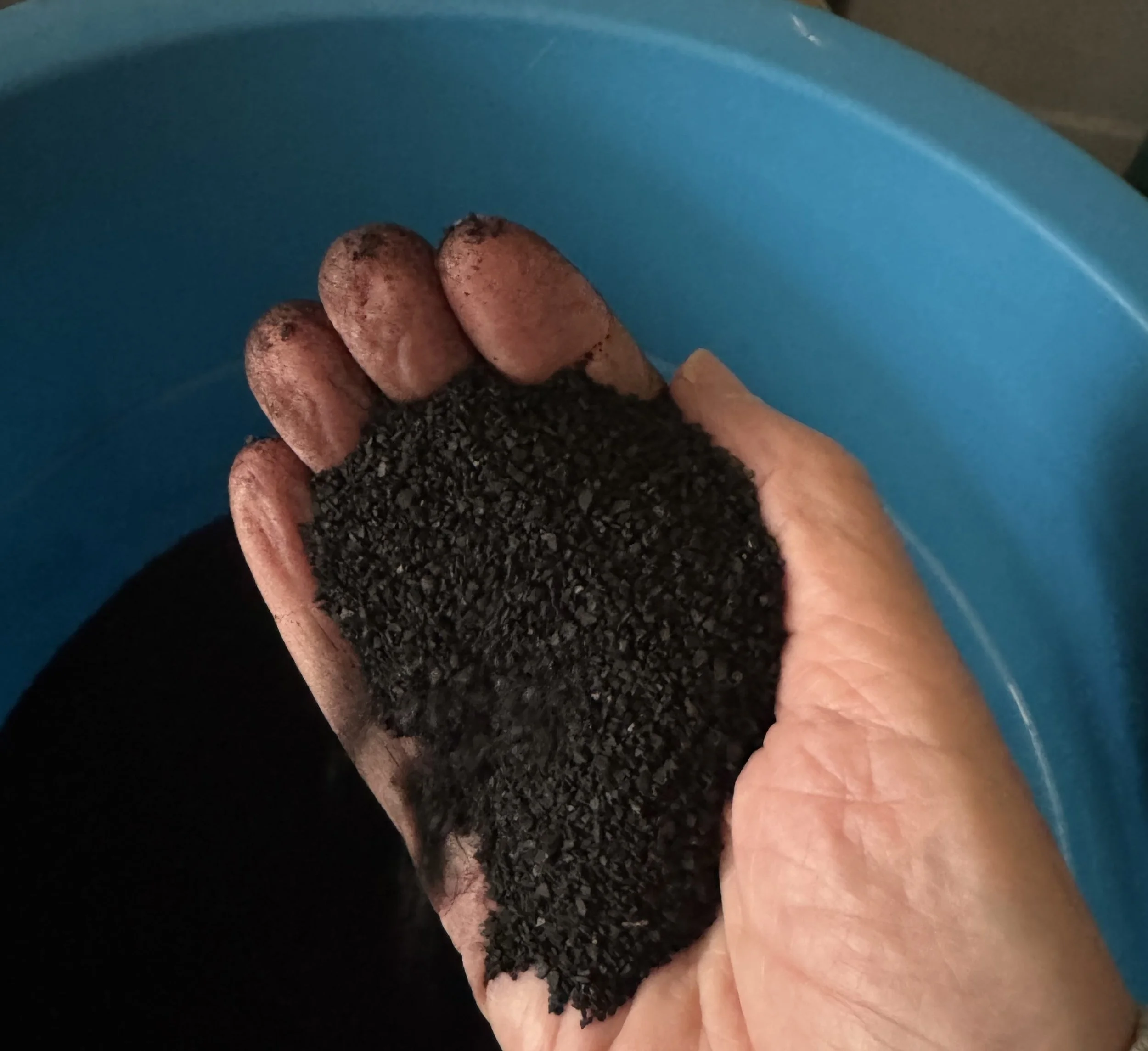 hand holding black charcoal-like substance, biochar