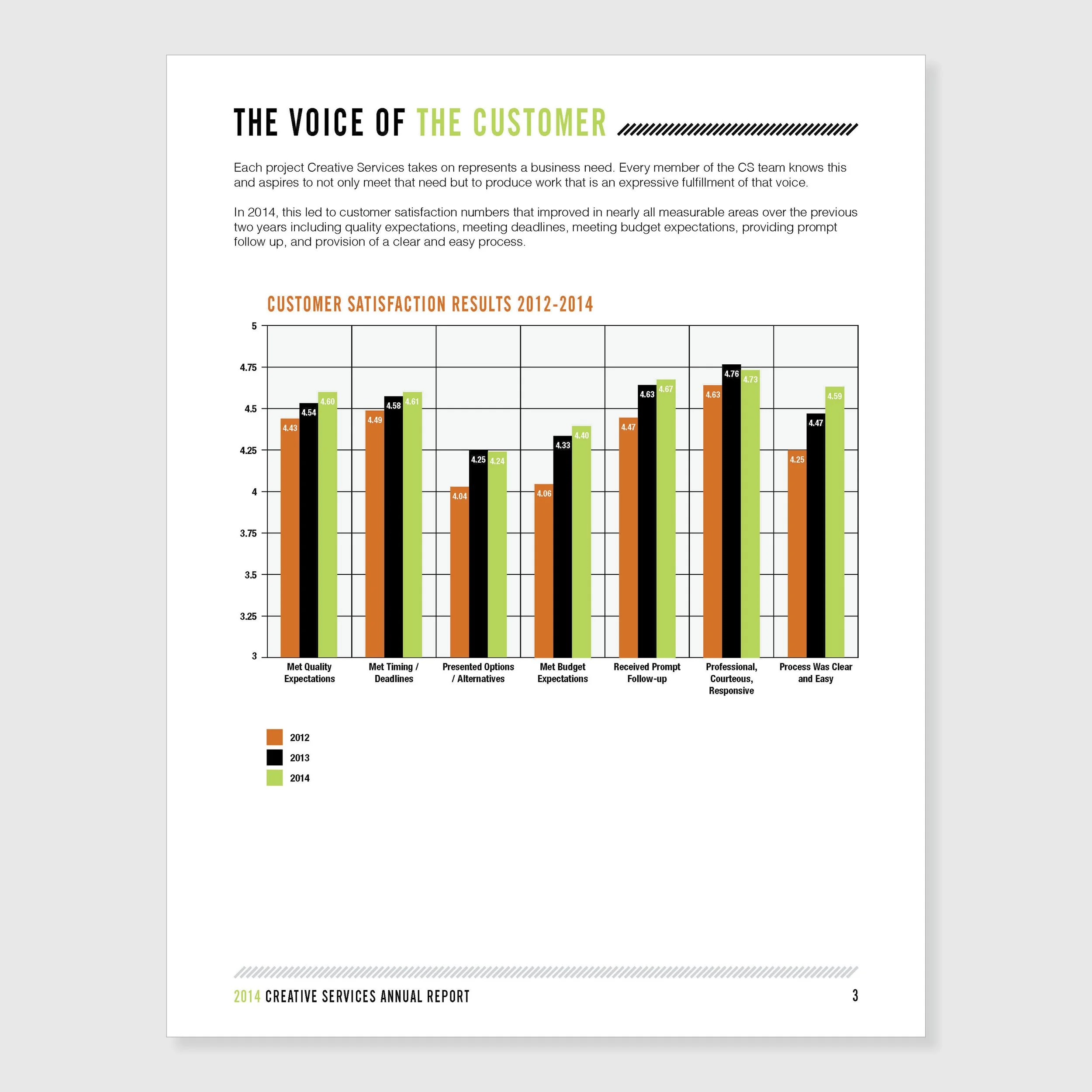 CS Annual Report 3.jpg