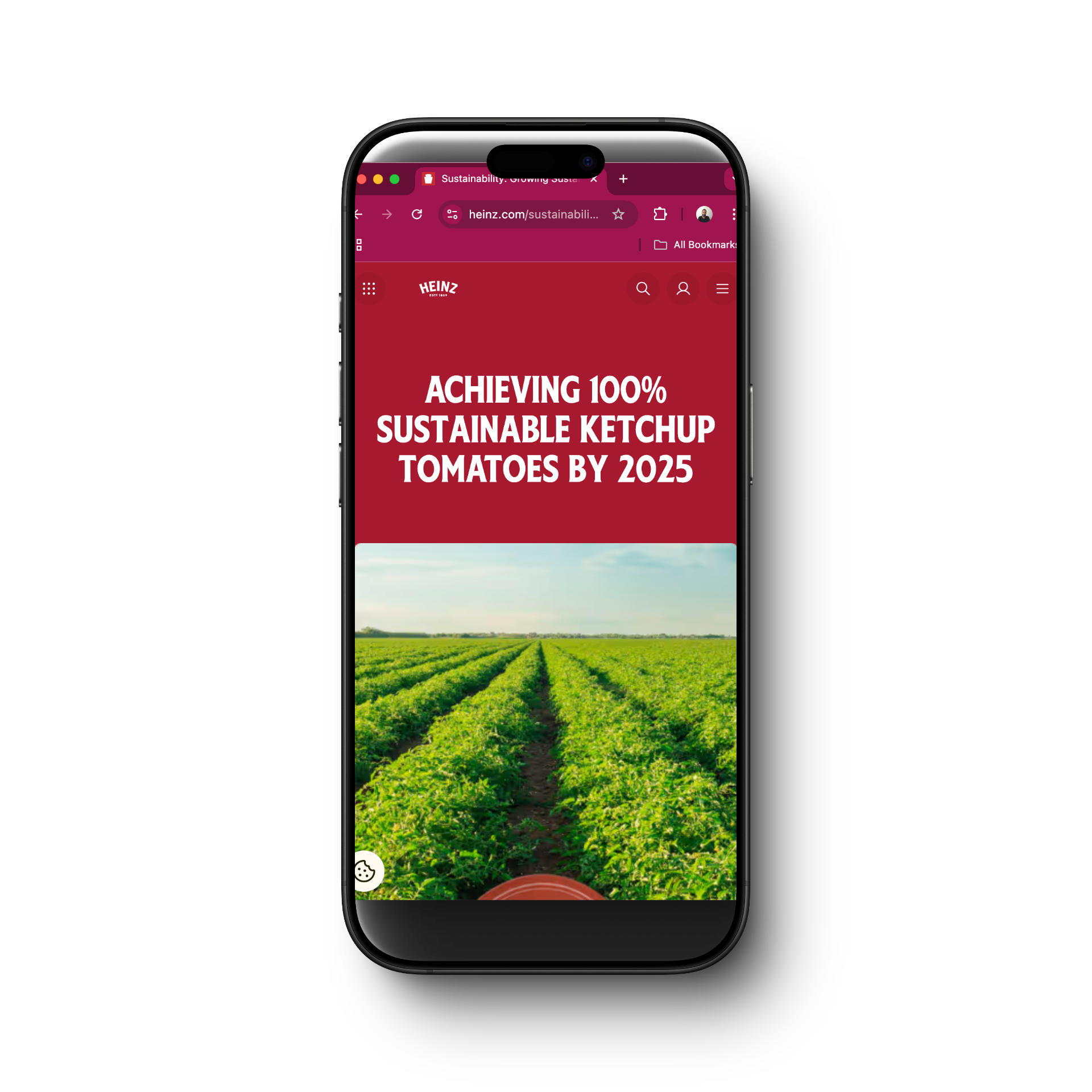 Smartphone displaying Heinz website with text "Achieving 100% Sustainable Ketchup Tomatoes by 2025" and an image of a tomato field.