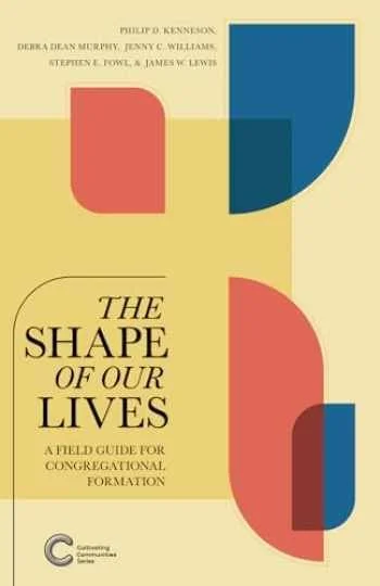 Perspectives: Exploring the Shape of Our Lives