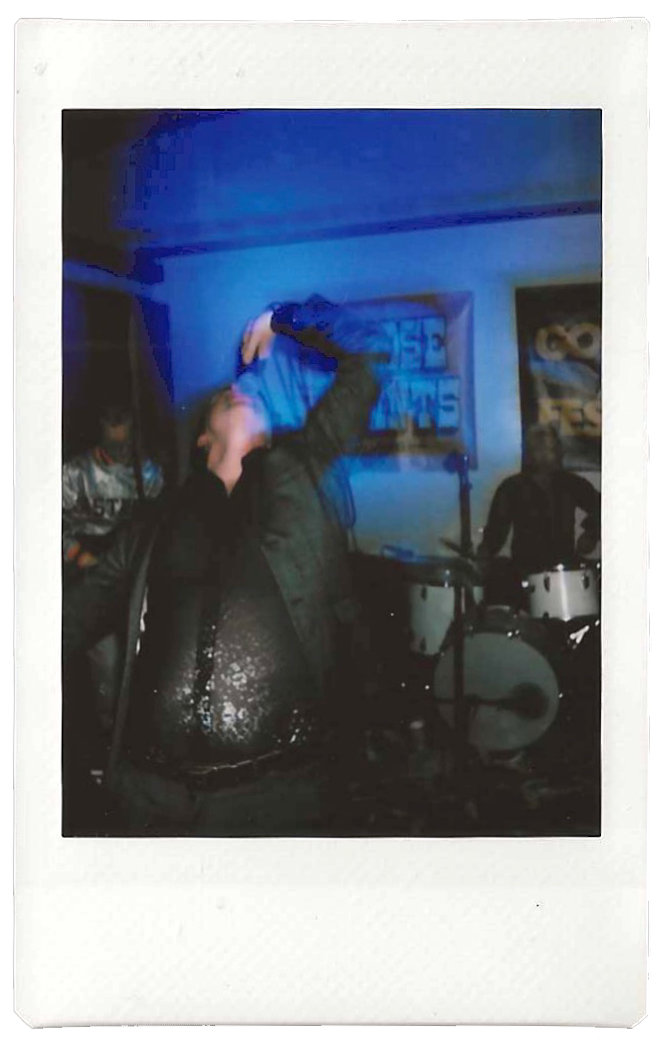 goosefest_polaroid_02.png
