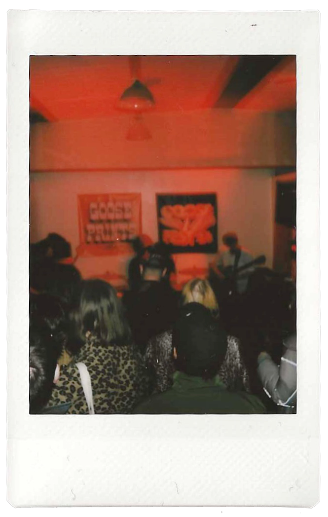 goosefest_polaroid_03.png