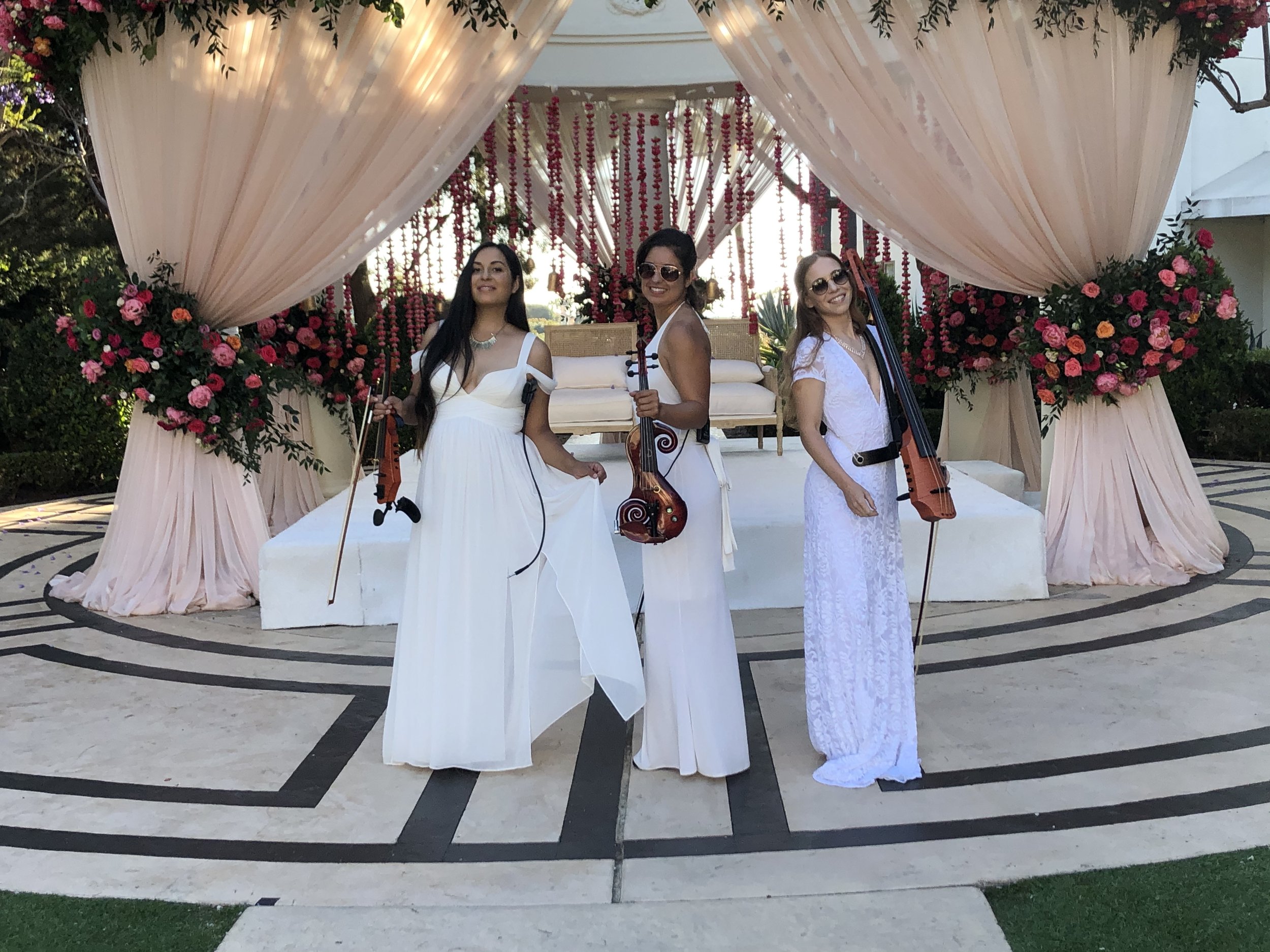 Transform Your Events with the Electric Angels String Quartet