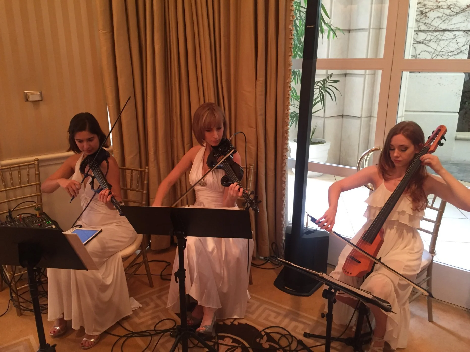 Electric Angels String Trio | Strings for Garden Receptions &amp; Outdoor Afternoon Celebrations