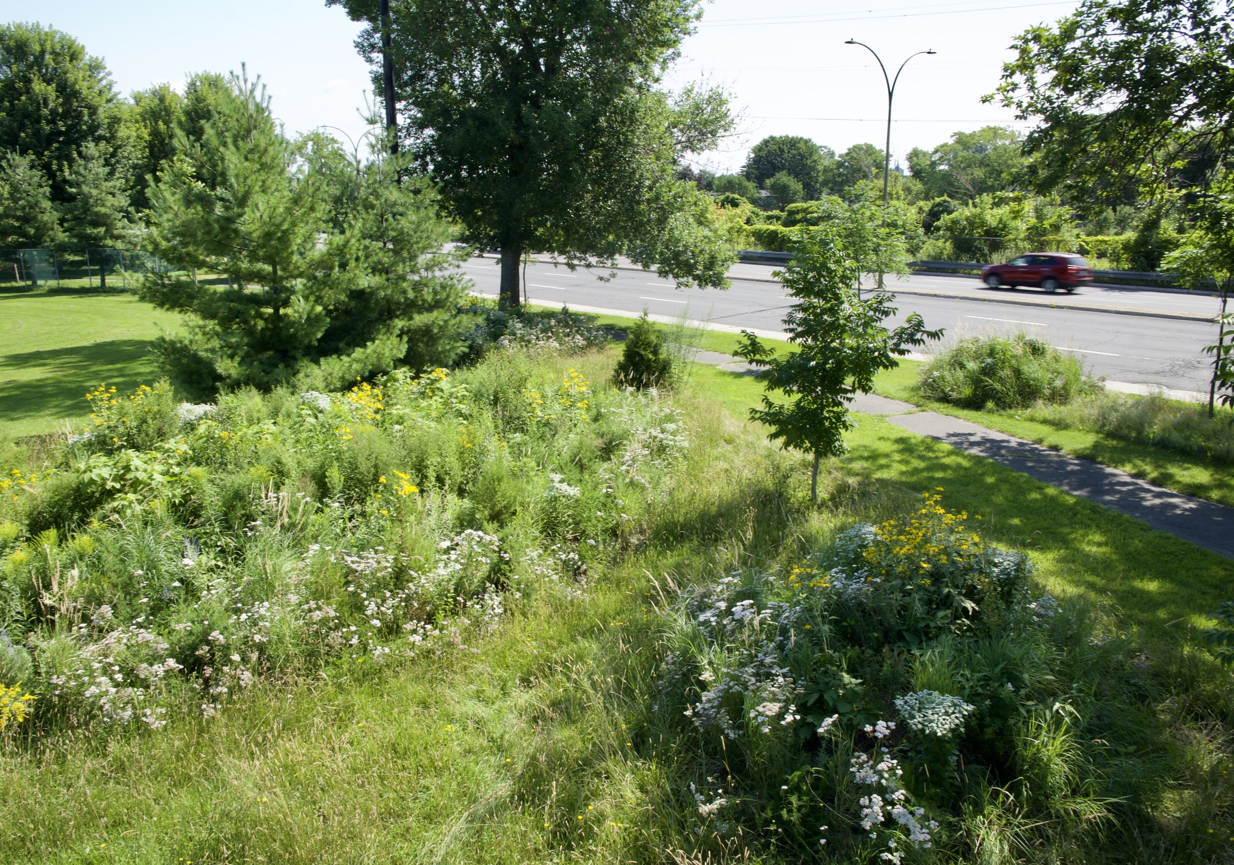 Corridor écologique du grand Sud-Ouest - Îlots de biodiversité (premier été)