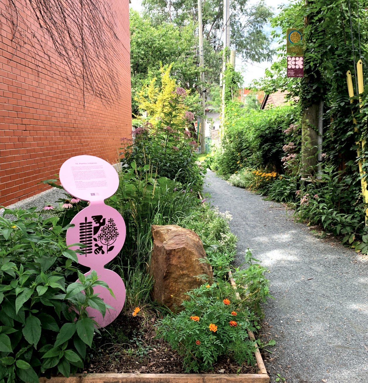 Ruelle verte 2020 - Ruelle Magnifique avec YMCA et groupe citoyen