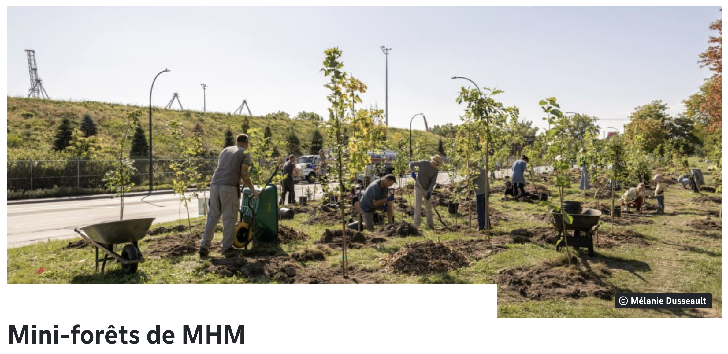 Capture d’écran, le 2026-01-28 à 11.44.11.png