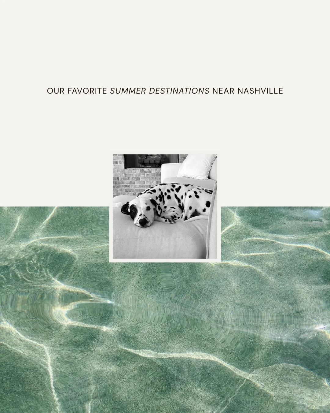 Dottie&rsquo;s bags are packed + she&rsquo;s ready for a summer getaway 🏖️

Lucky for her, we know some spots near Nashville where she can get her paws in the sand. If you (or your dog) is more into the lake vibe or a different change of scenery, we