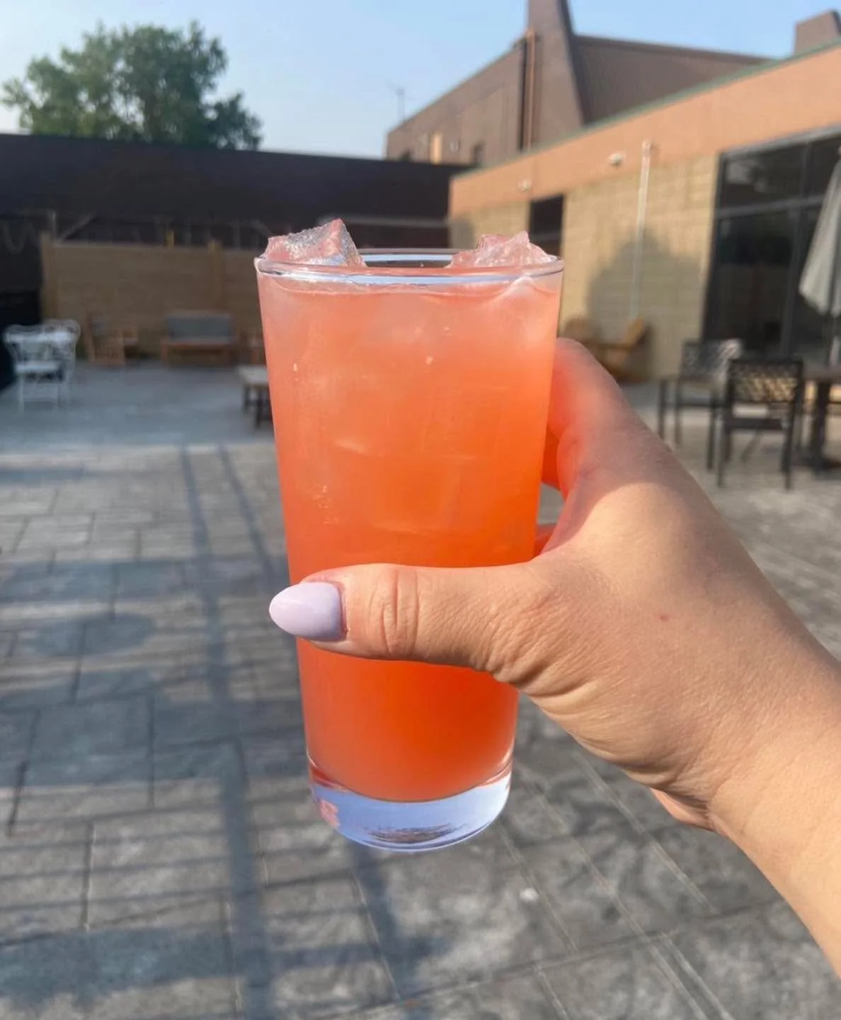 Yes, it might be Bike Week, but it&rsquo;s ALSO patio season and we have a patio WITH CORNHOLE BOARDS! Come enjoy the sun! ☀️
&bull;
&bull;
&bull;
#cafe #cocktail #mocktail #ohio #smallbusiness #coffeeshop #sanduskyohio #book #sandusky #bookstore #ch