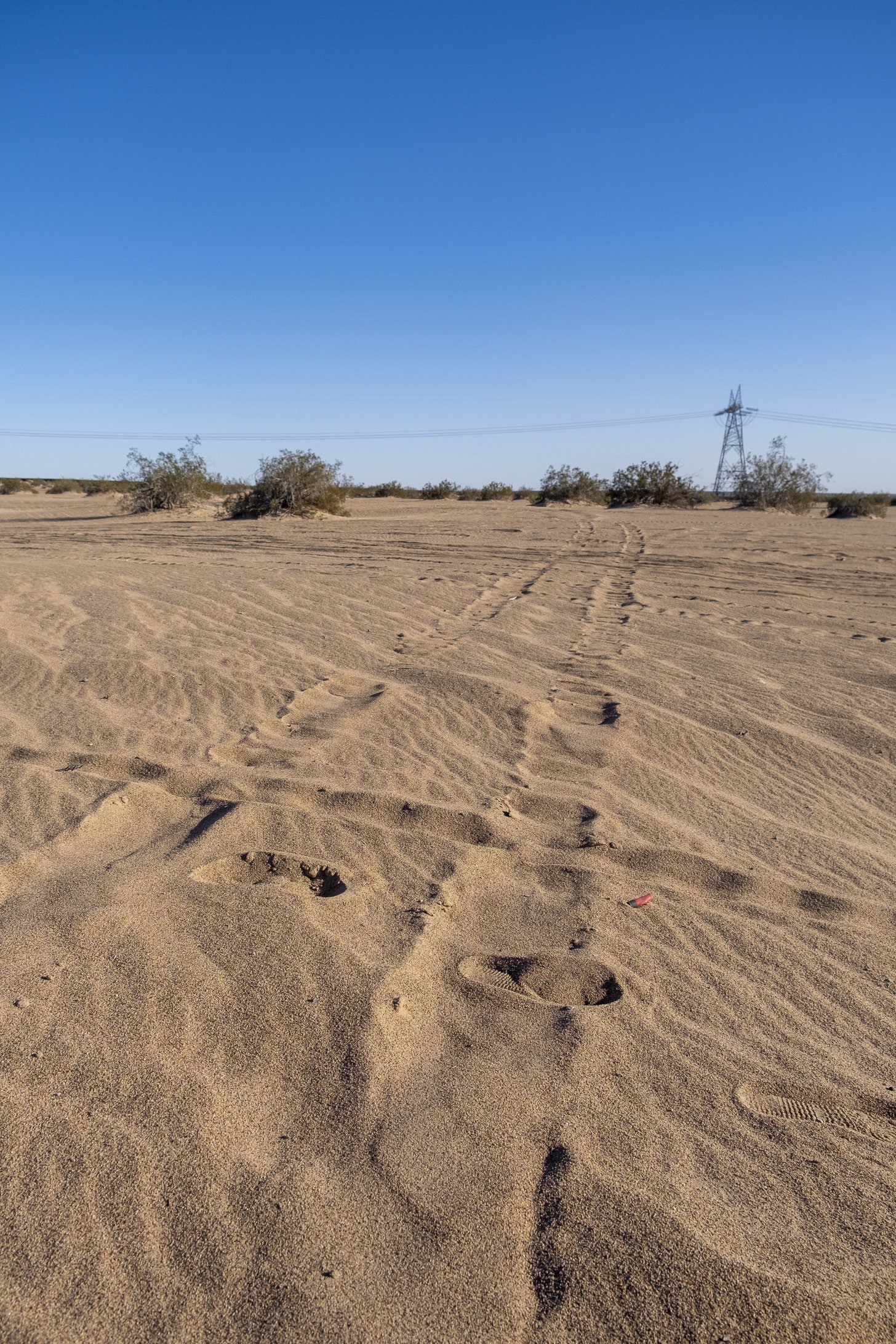 Tracks