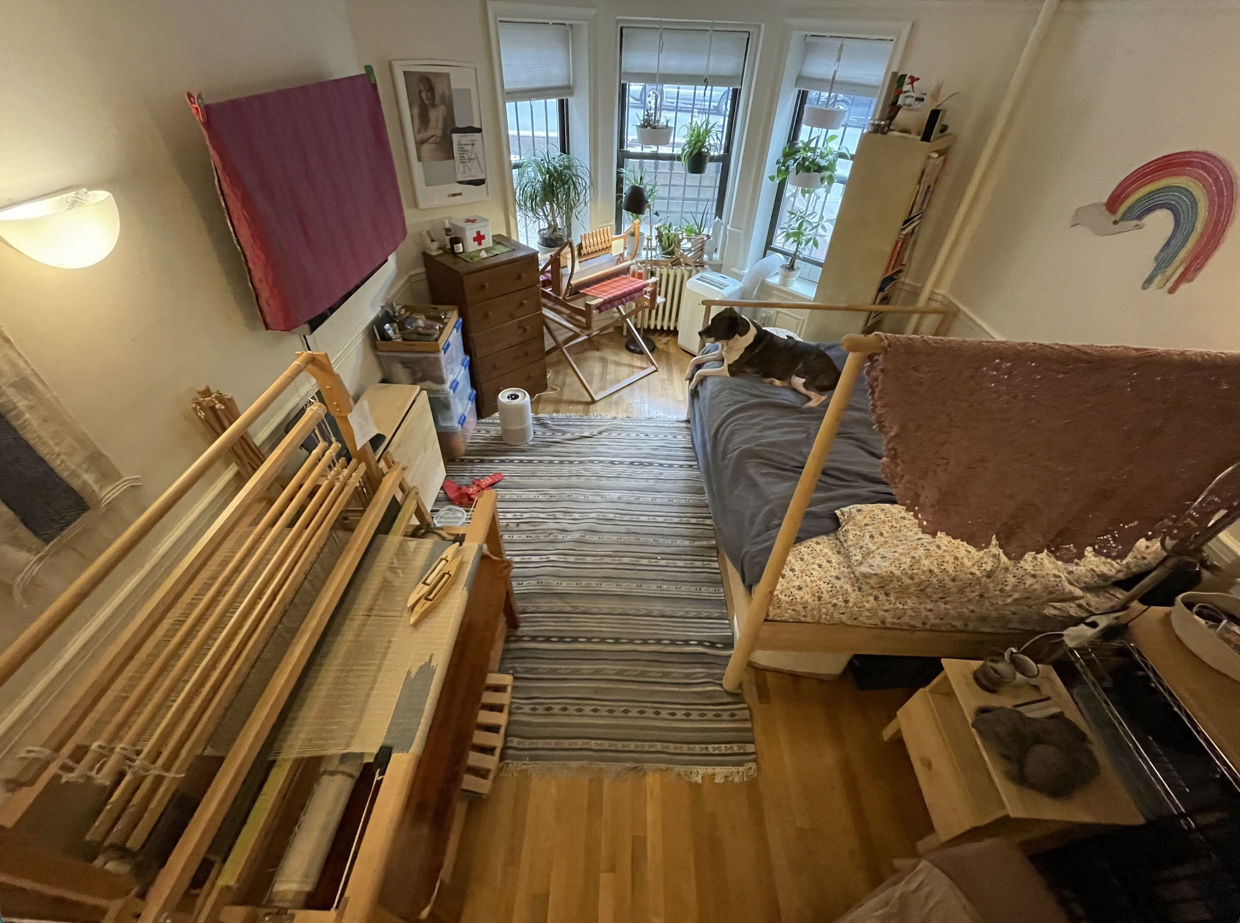 A studio apartment with two looms
