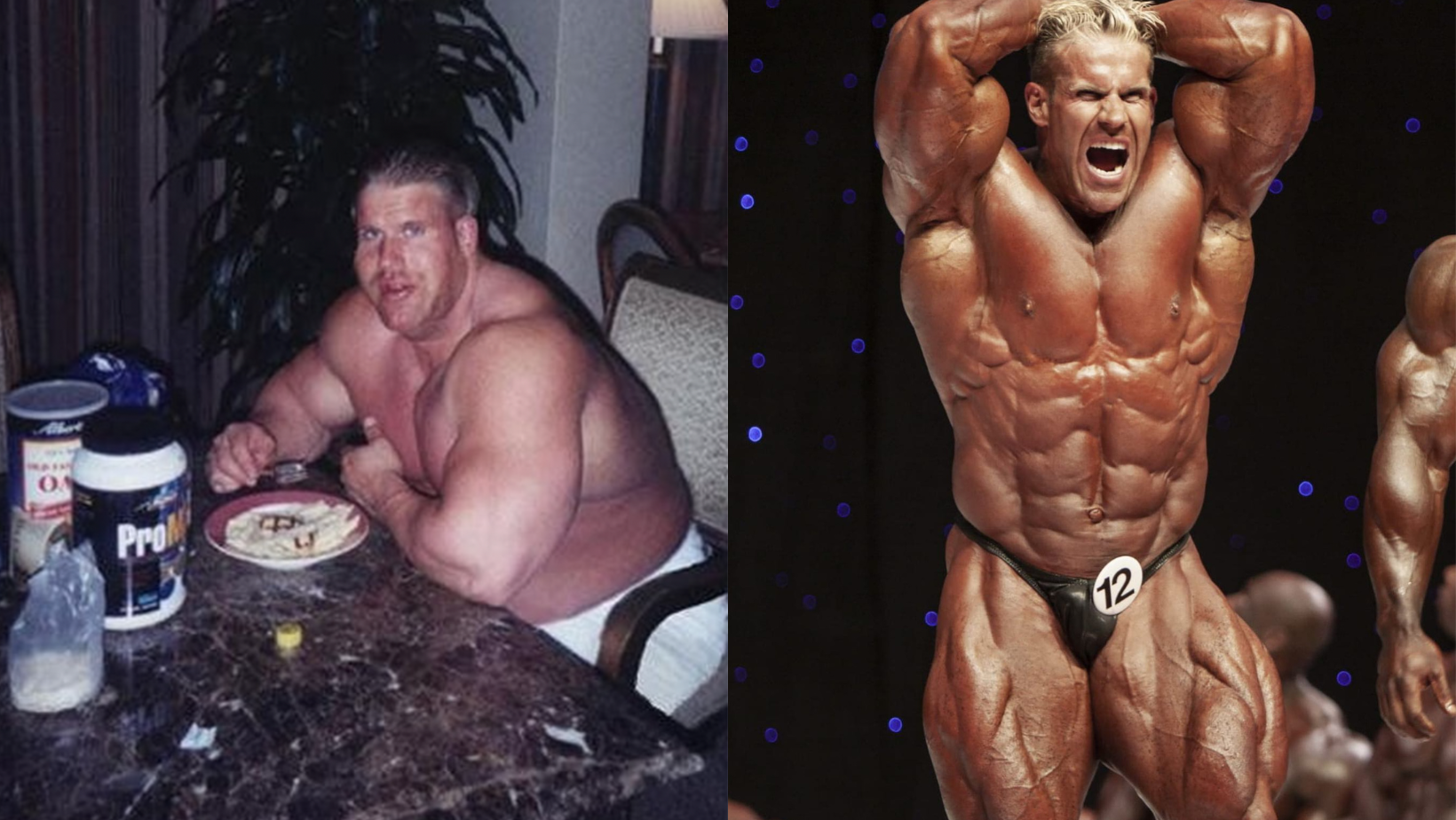 Bulking vs. Cutting