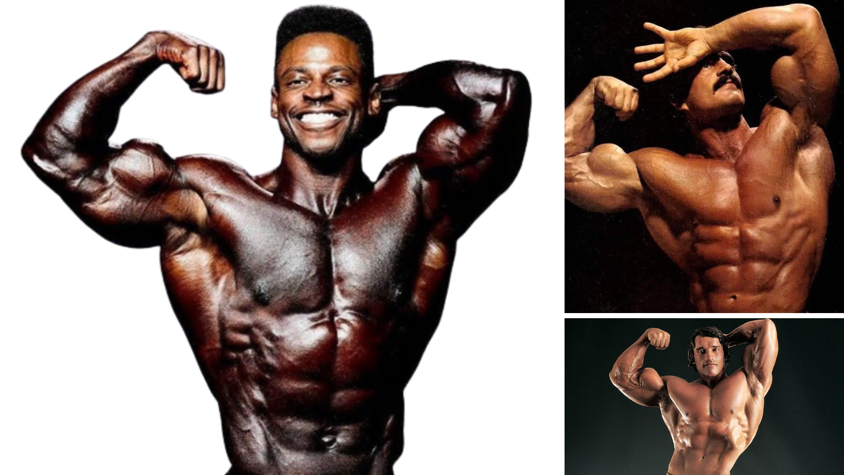 Mastering Bodybuilding Poses A Comprehensive Guide to 19 Classic Poses