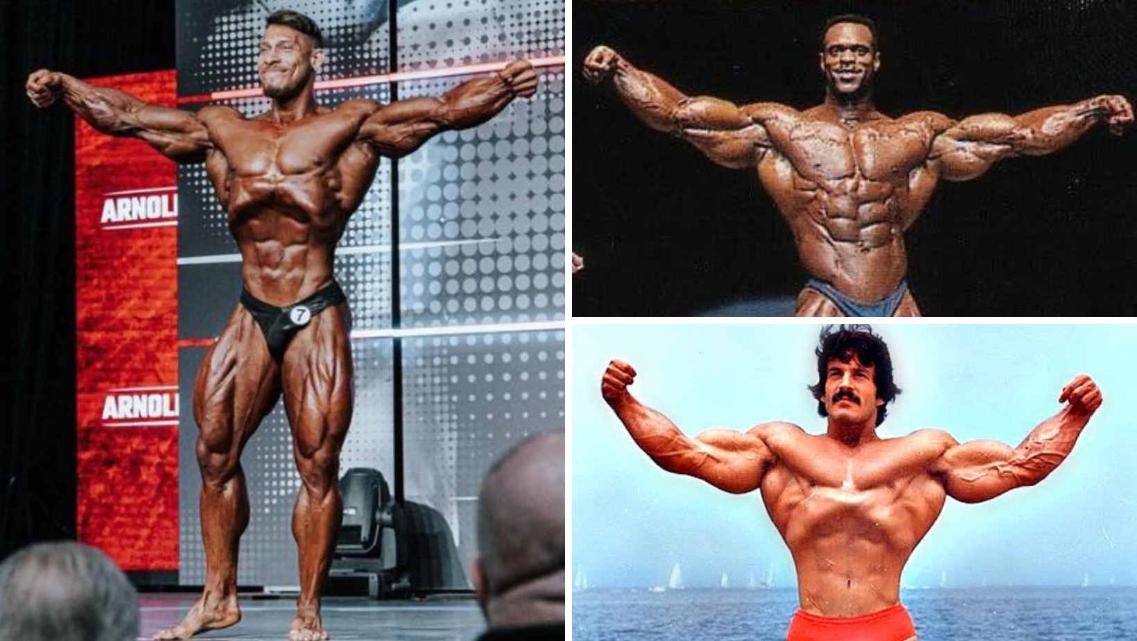 Body, Skill, And Look: Is Bodybuilding A Sport? – MIIKME