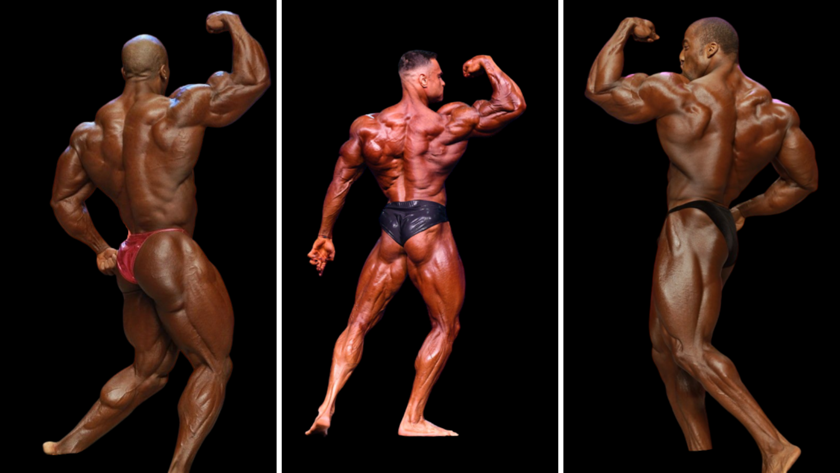 Best Bodybuilding Poses – Tableau De Musculation Bodybuilder – RPCSXE