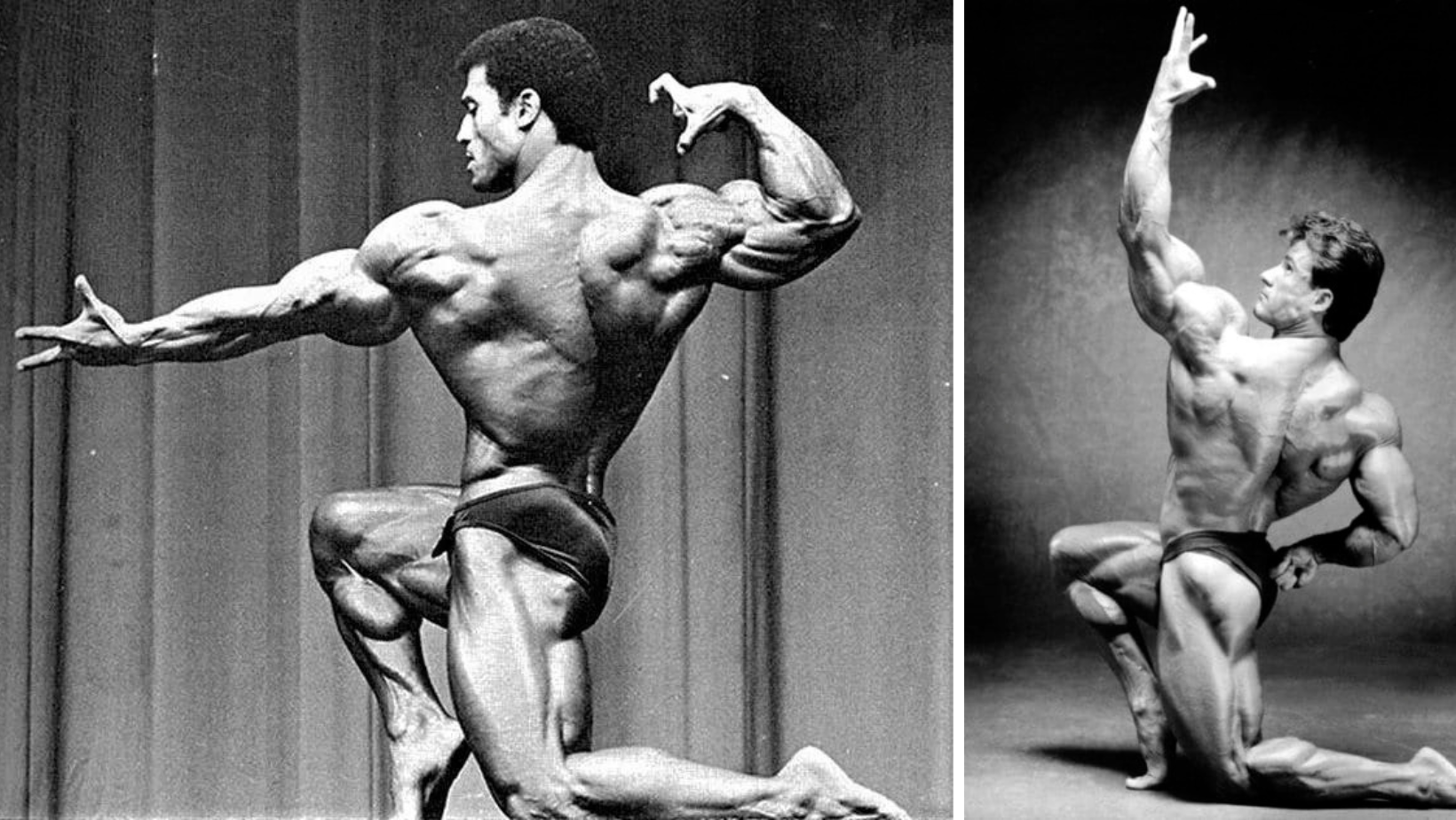 Mastering Bodybuilding Poses A Comprehensive Guide to 19 Classic Poses