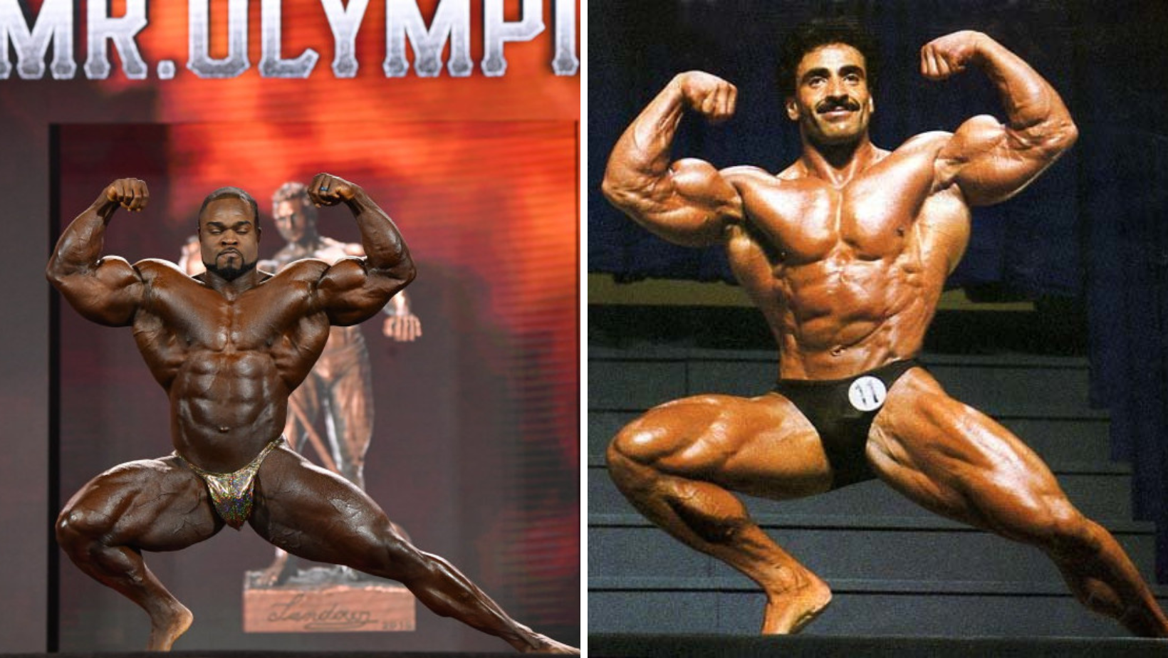Bodybuulding List Of All Bodybuilding Poses