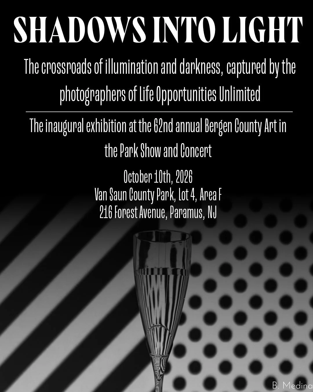 Less than a week until the inaugural viewing of our clients' photography exhibit entitled "Shadows into Light."

These works will be on display Saturday, October 11th at the 62nd Annual Bergen County Art in the Park at Van Saun Park in Para