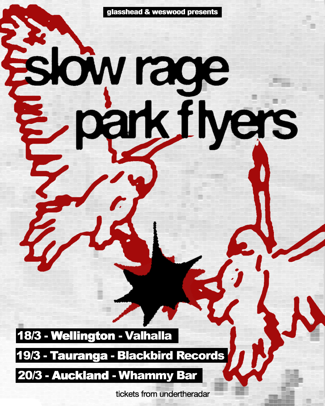 Slow Rage x Park Flyers 