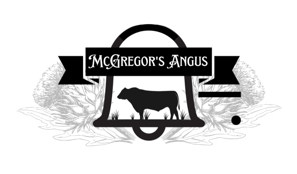 McGregor's Angus