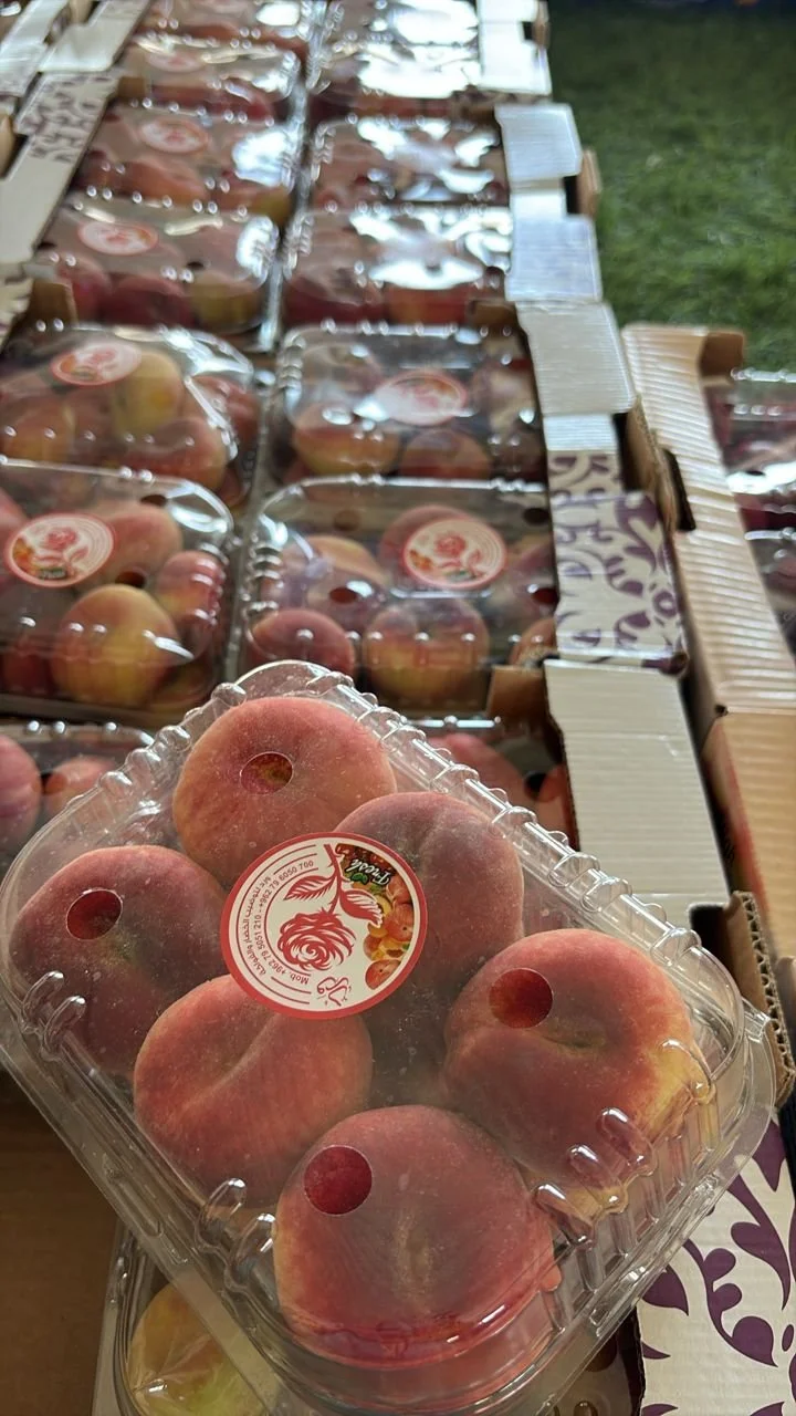 WhatsApp Image 2025-06-14 at 4.34.48 PM.jpeg