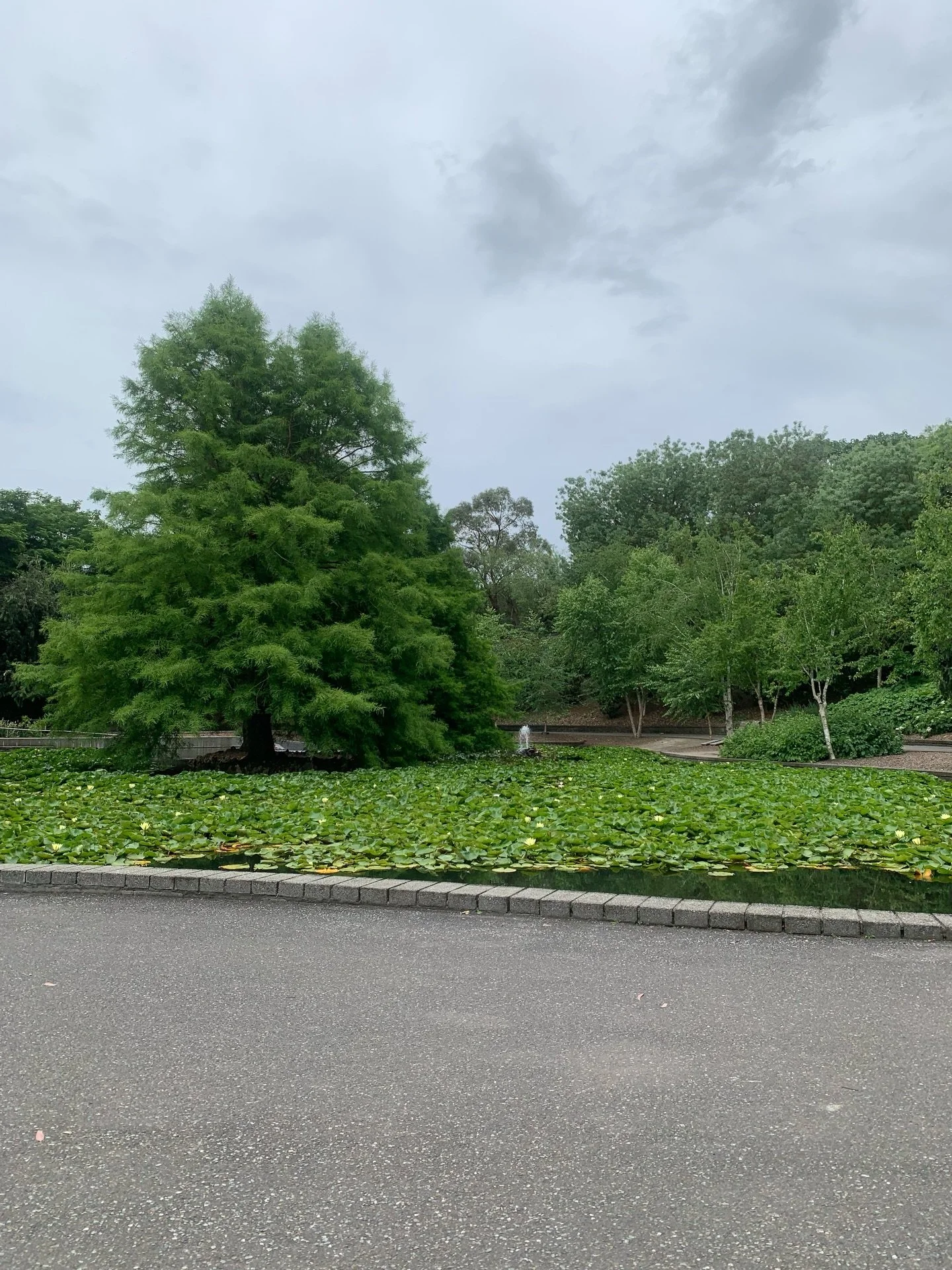 A little dump from the personal camera roll from the holiday season with Lil 🥰 Parents out there we have ALMOST MADE IT! end of holidays are in sight. 

1. Secret Proposal scouting with an excited groom to be! Always love this spot
2. Summer holiday