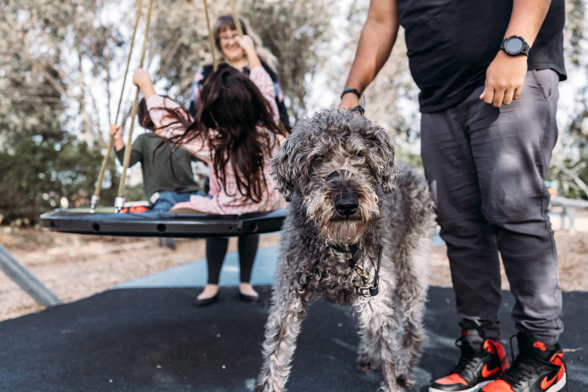 Backyard Chaos and a Very Good Dog