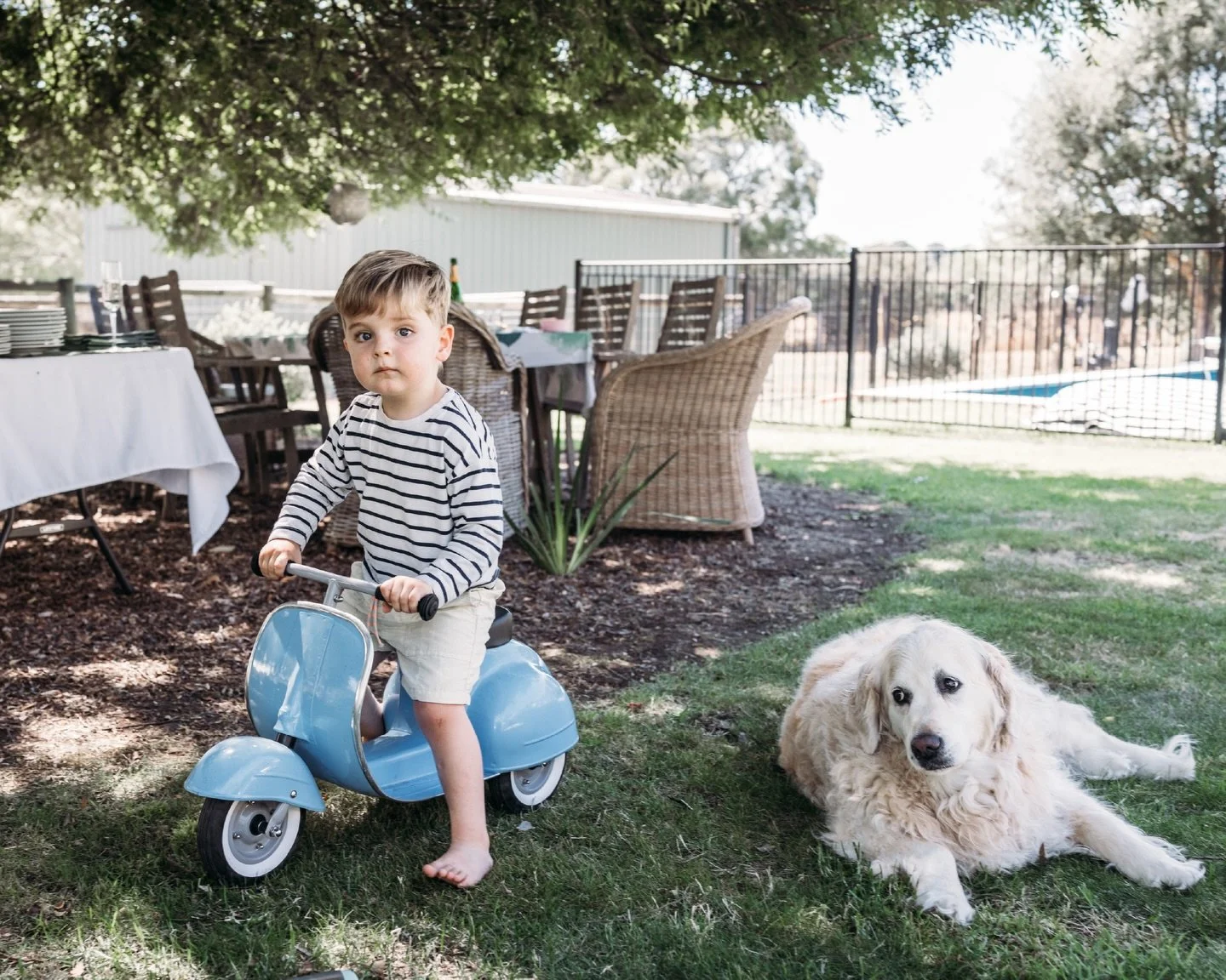This is what happens when you gather the whole family, let the kids run wild, pour the adults a drink, and just... let the afternoon unfold.

Three generations. A whole lotta kids. One very patient golden retriever. A toddler in a strawberry dress ne
