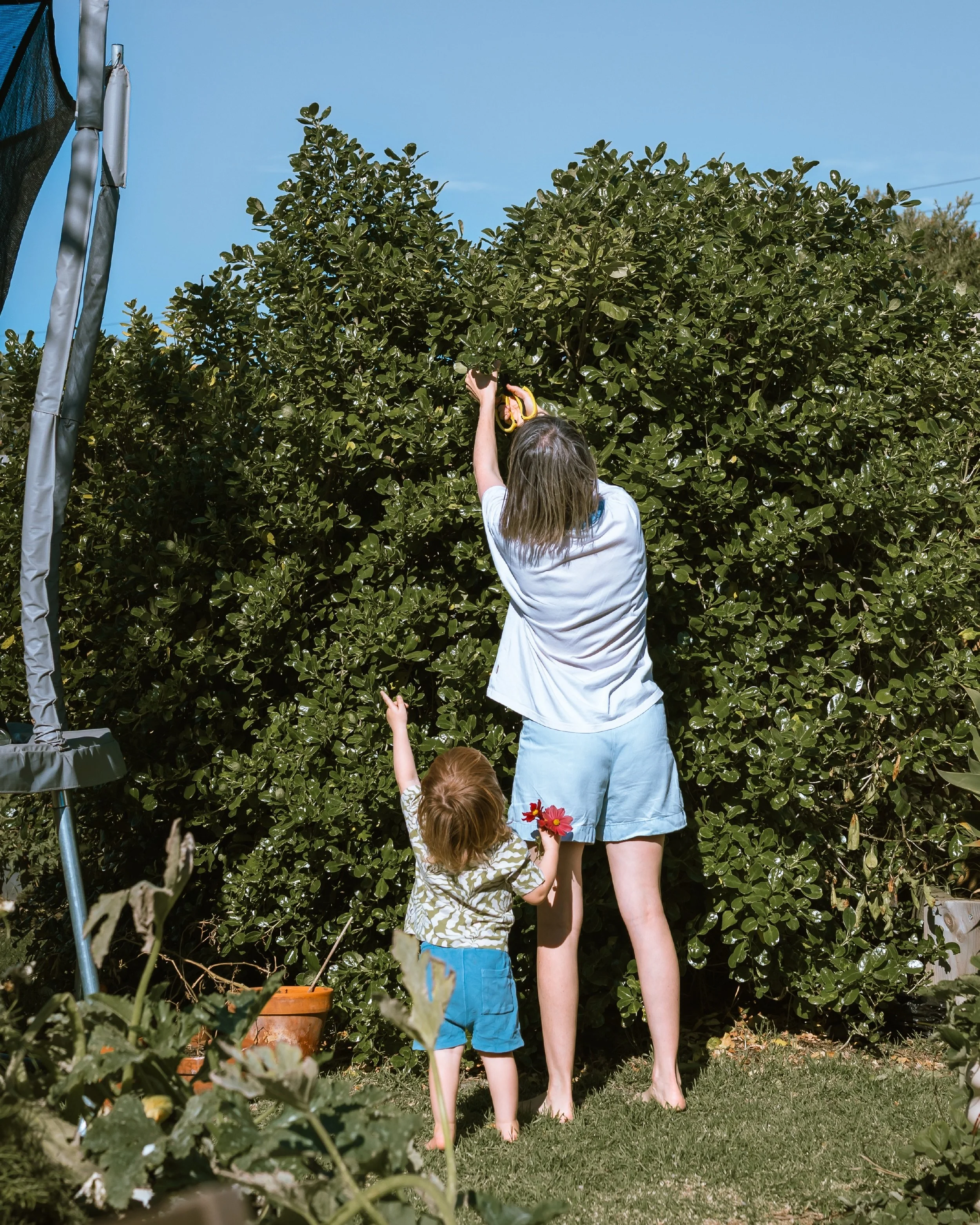 No plans was the vibe of this shoot. Just a backyard, some overgrown garden beds, autumn sun and a family mostly off doing their own thing while I quietly wandered around with a camera.

I was wonderfully ignored for large chunks of the session hones
