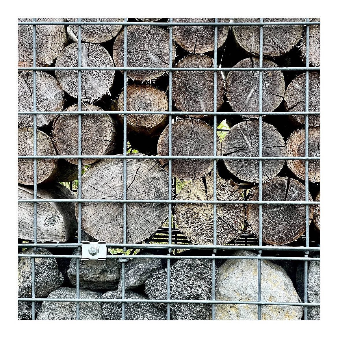 #steelcage #wood #partitiondesign