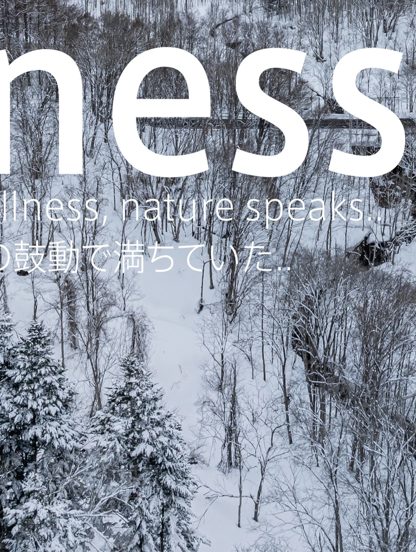 白と黒の世界が、静寂をいっそう深める