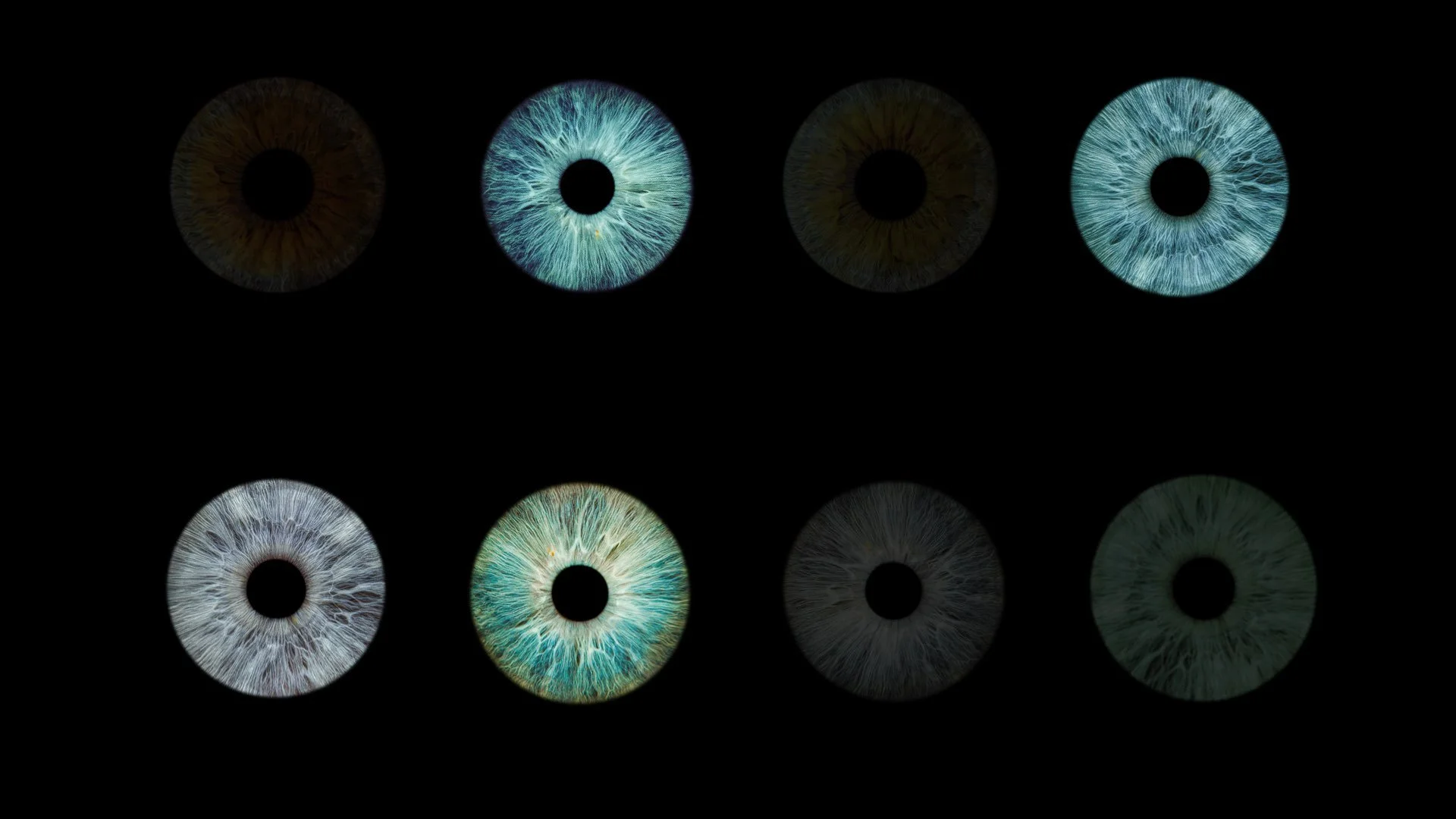 On Seeing and Looking WIP 3.022.jpeg
