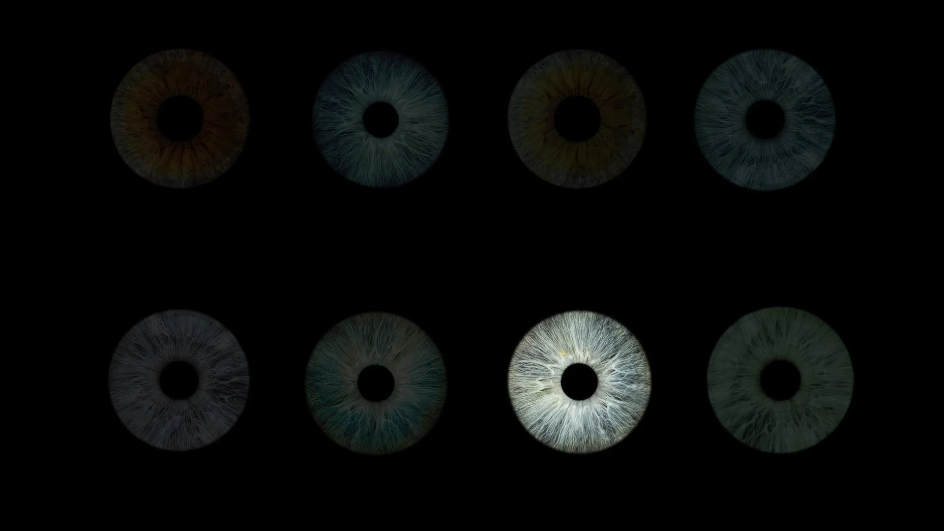 On Seeing and Looking WIP 3.026.jpeg