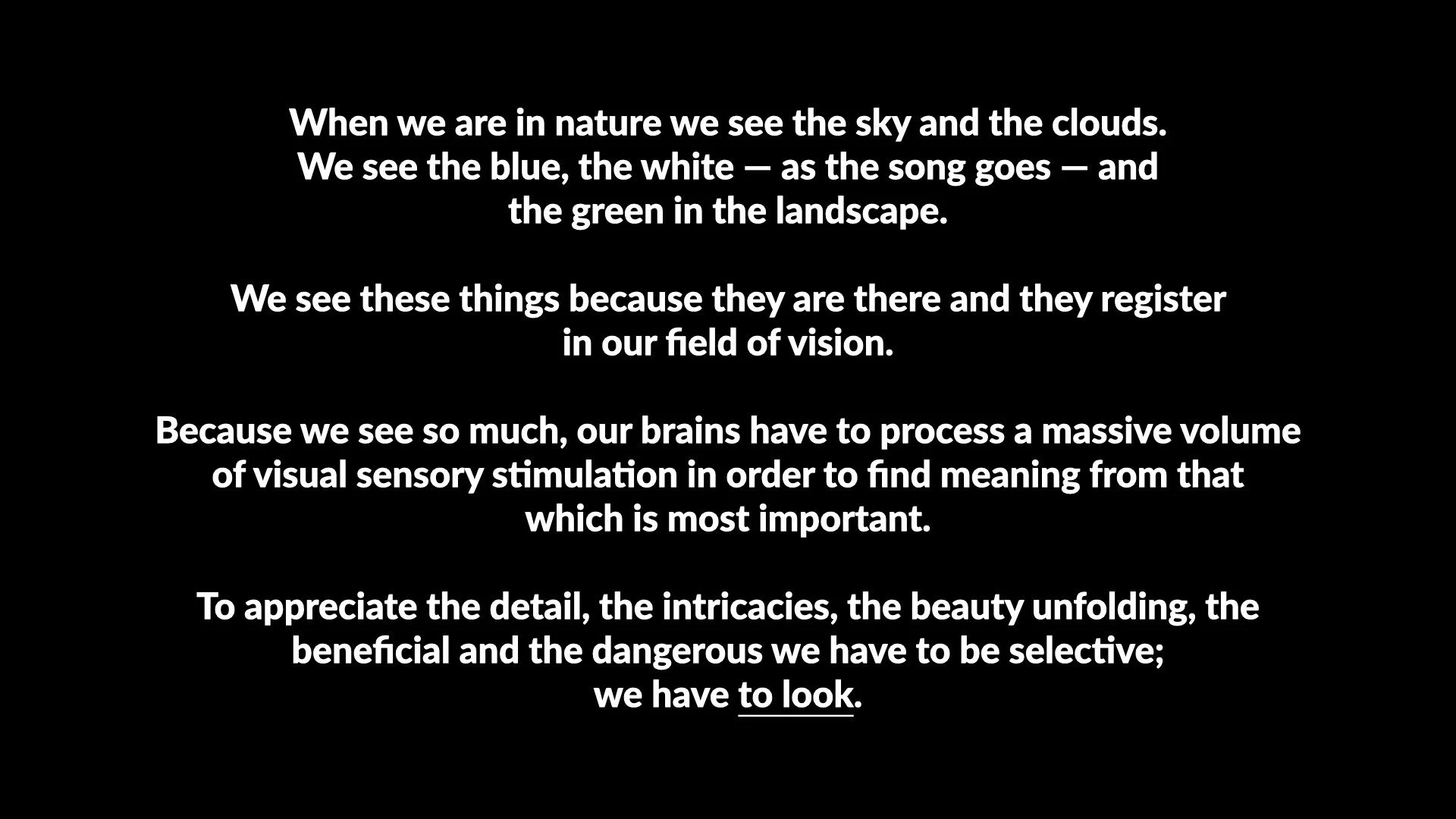 On Seeing and Looking WIP 3.004.jpeg