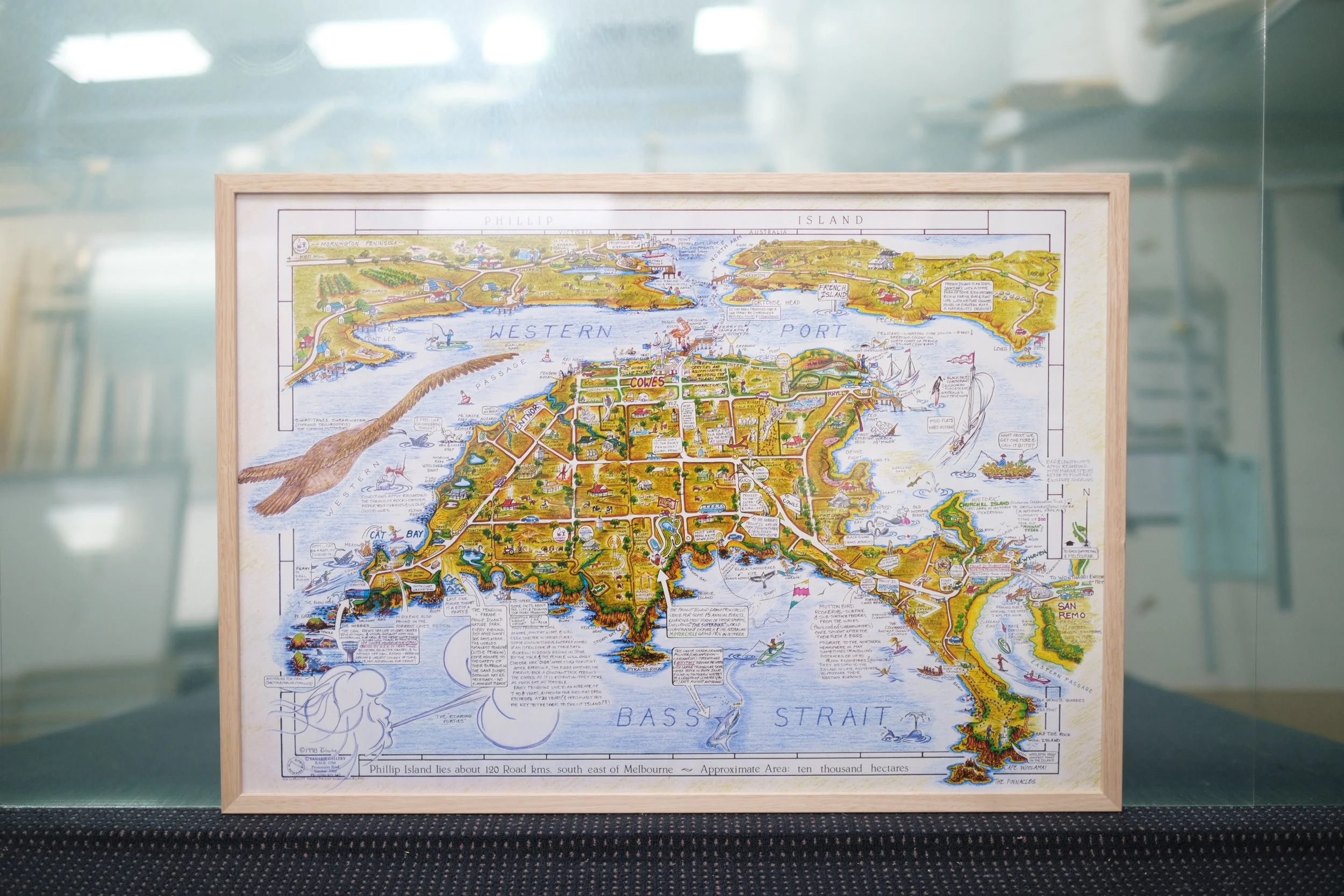 Phillip Island Map in Victorian Ash Frame