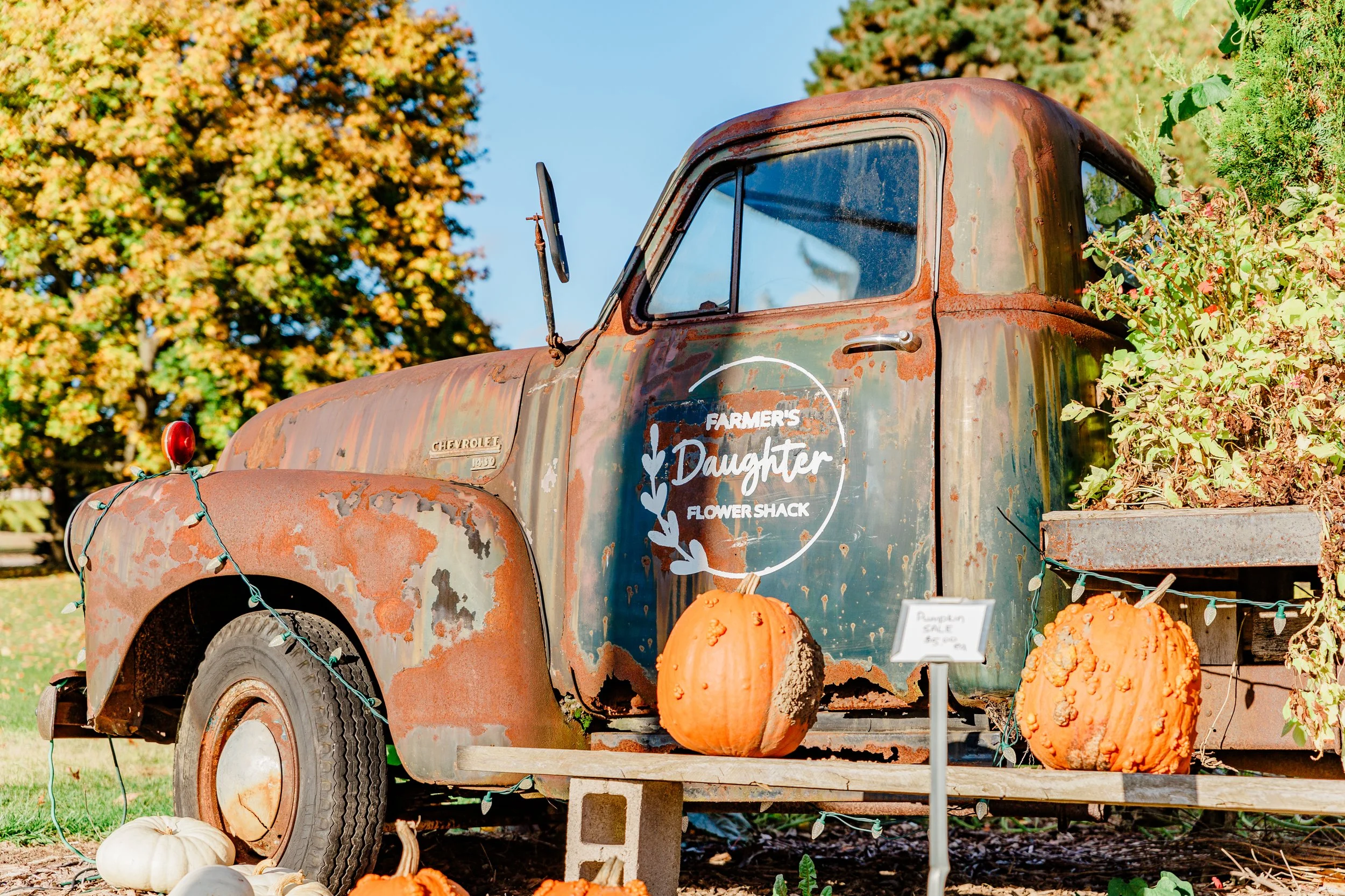 Niagara South Coast 2024 CKC-6220.jpg