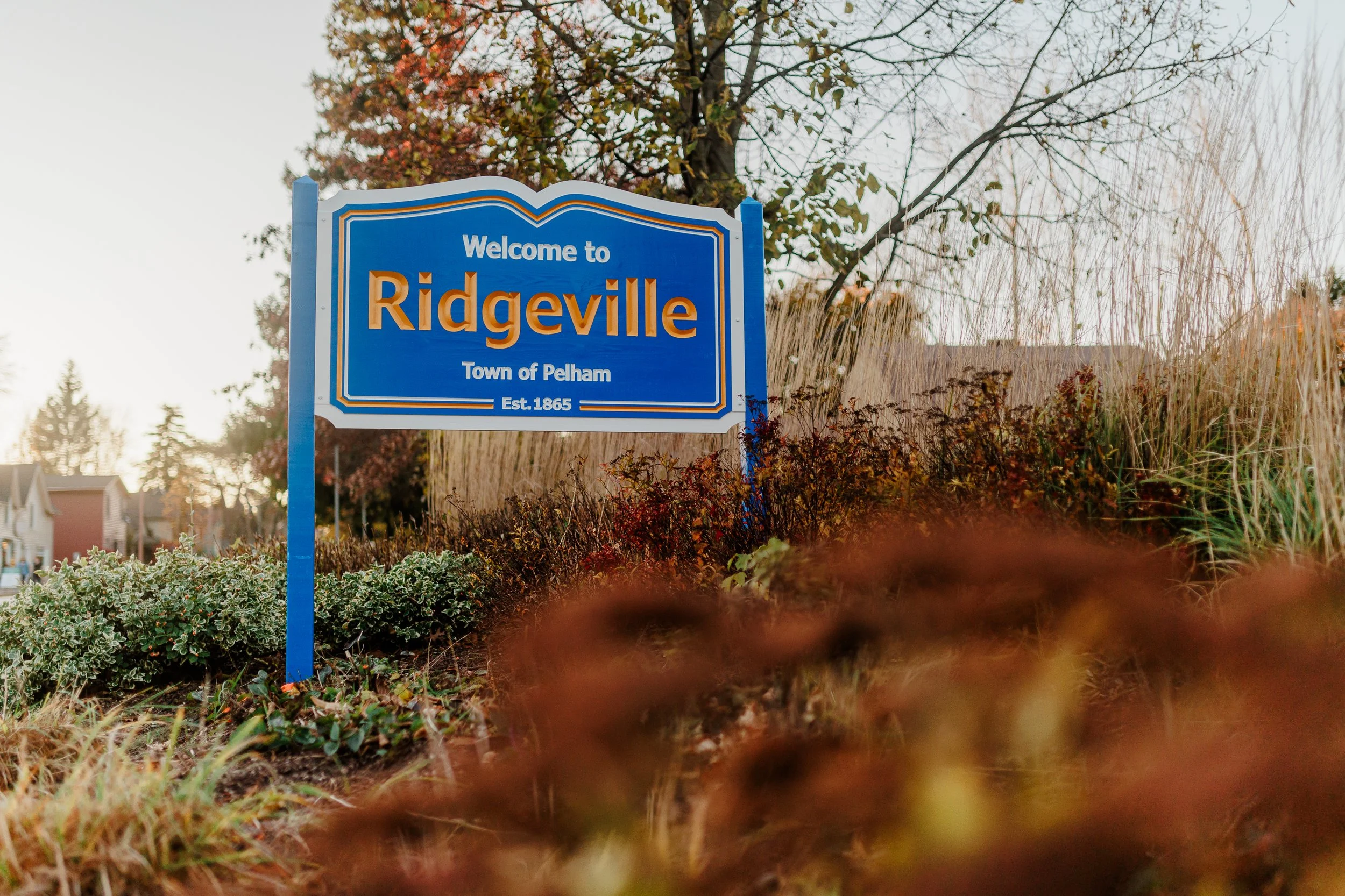 Niagara South Coast 2024 CKC-9019.jpg