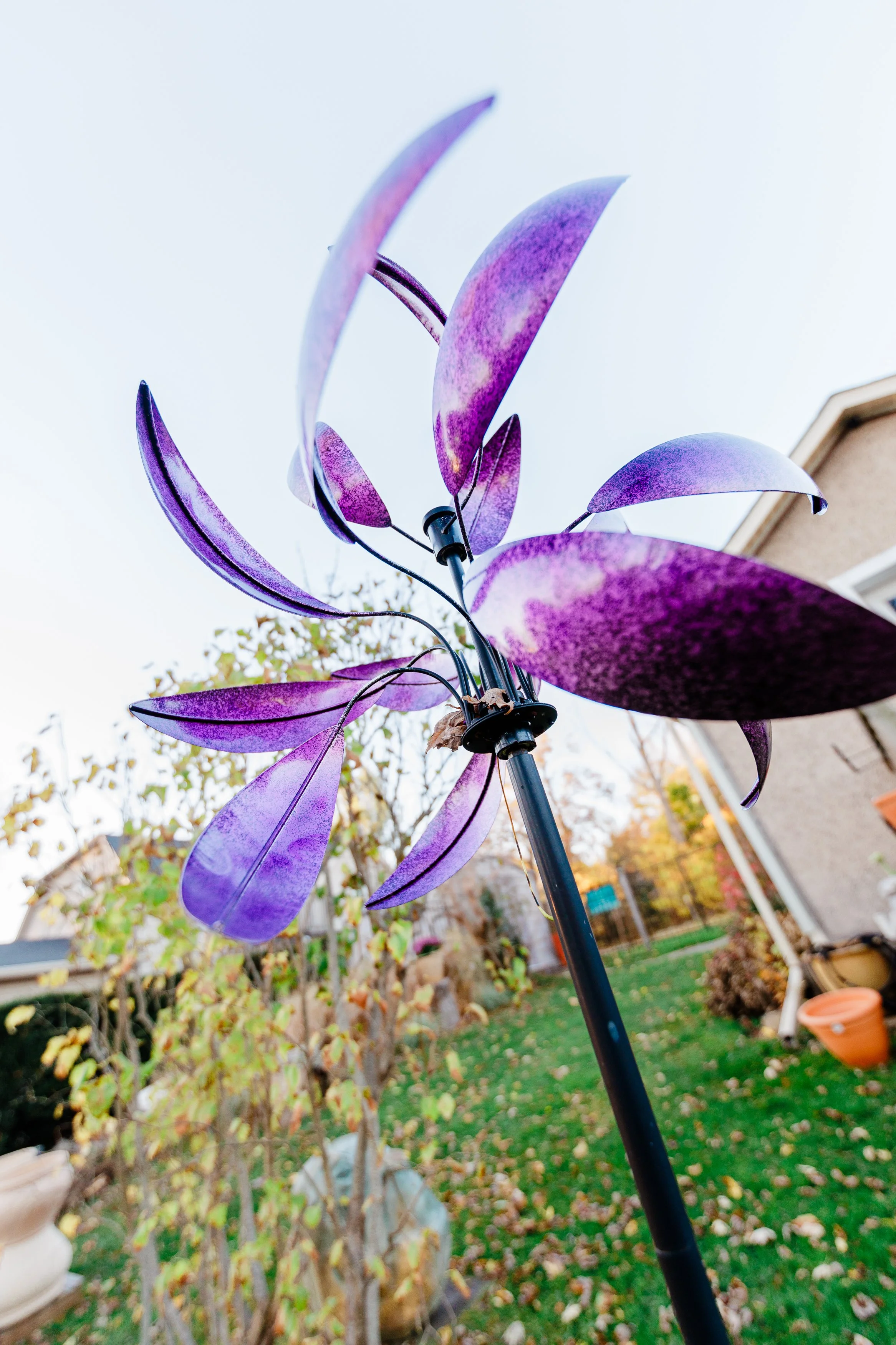 Niagara South Coast 2024 CKC-8973.jpg