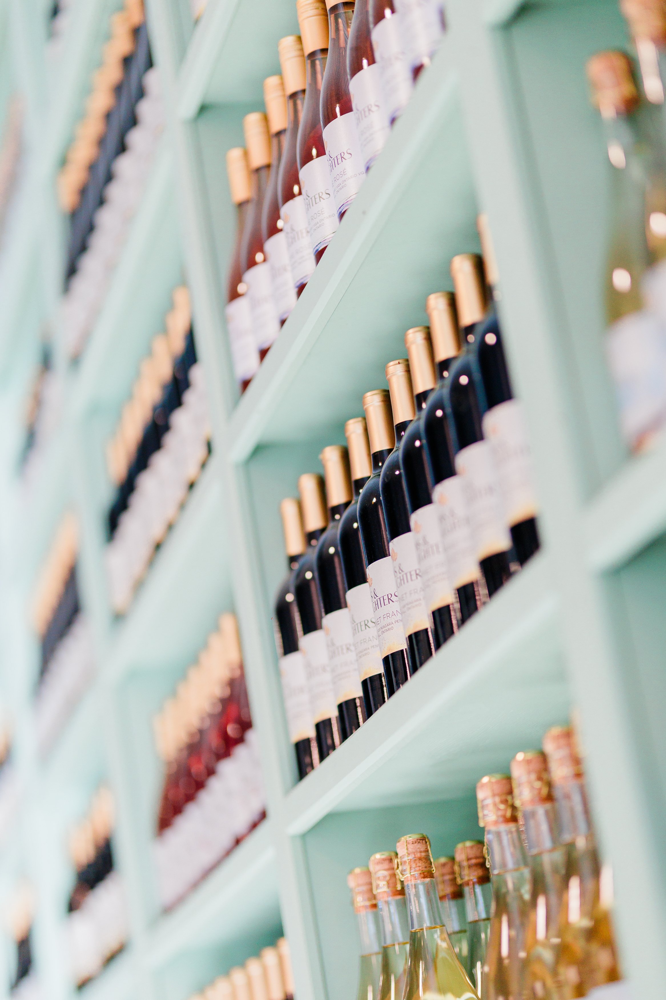 Niagara South Coast 2024 CKC-6294.jpg