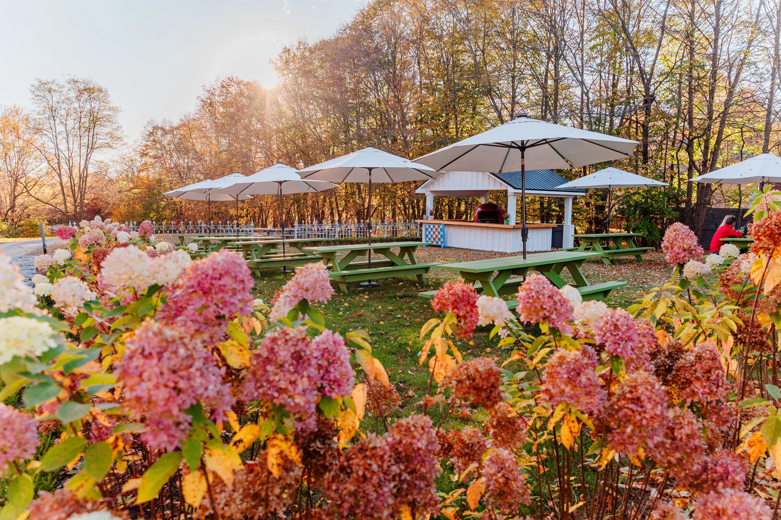 Niagara South Coast 2024 CKC-6605.jpg