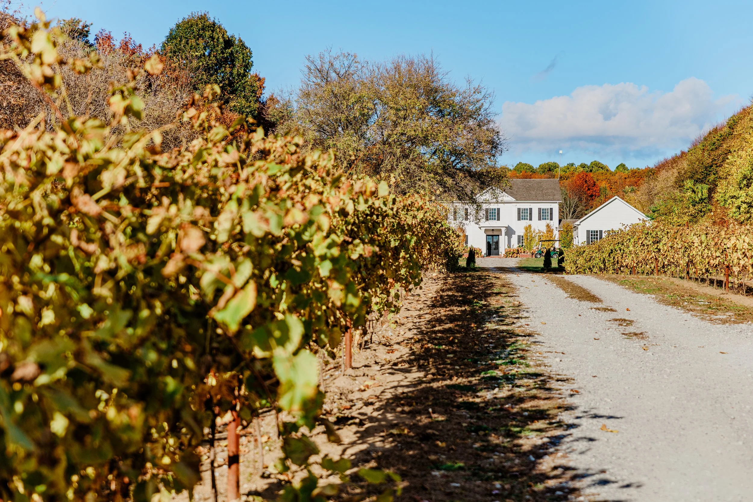 Niagara South Coast 2024 CKC-6242.jpg