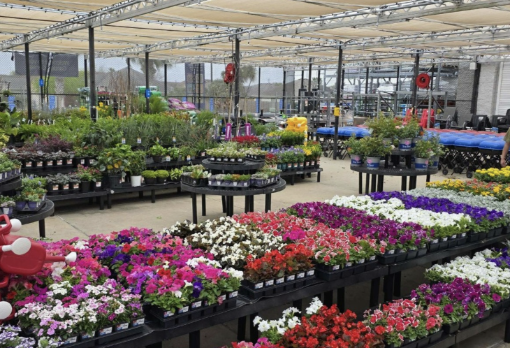 Quebec Square Block Party & Garden Center Grand Opening
