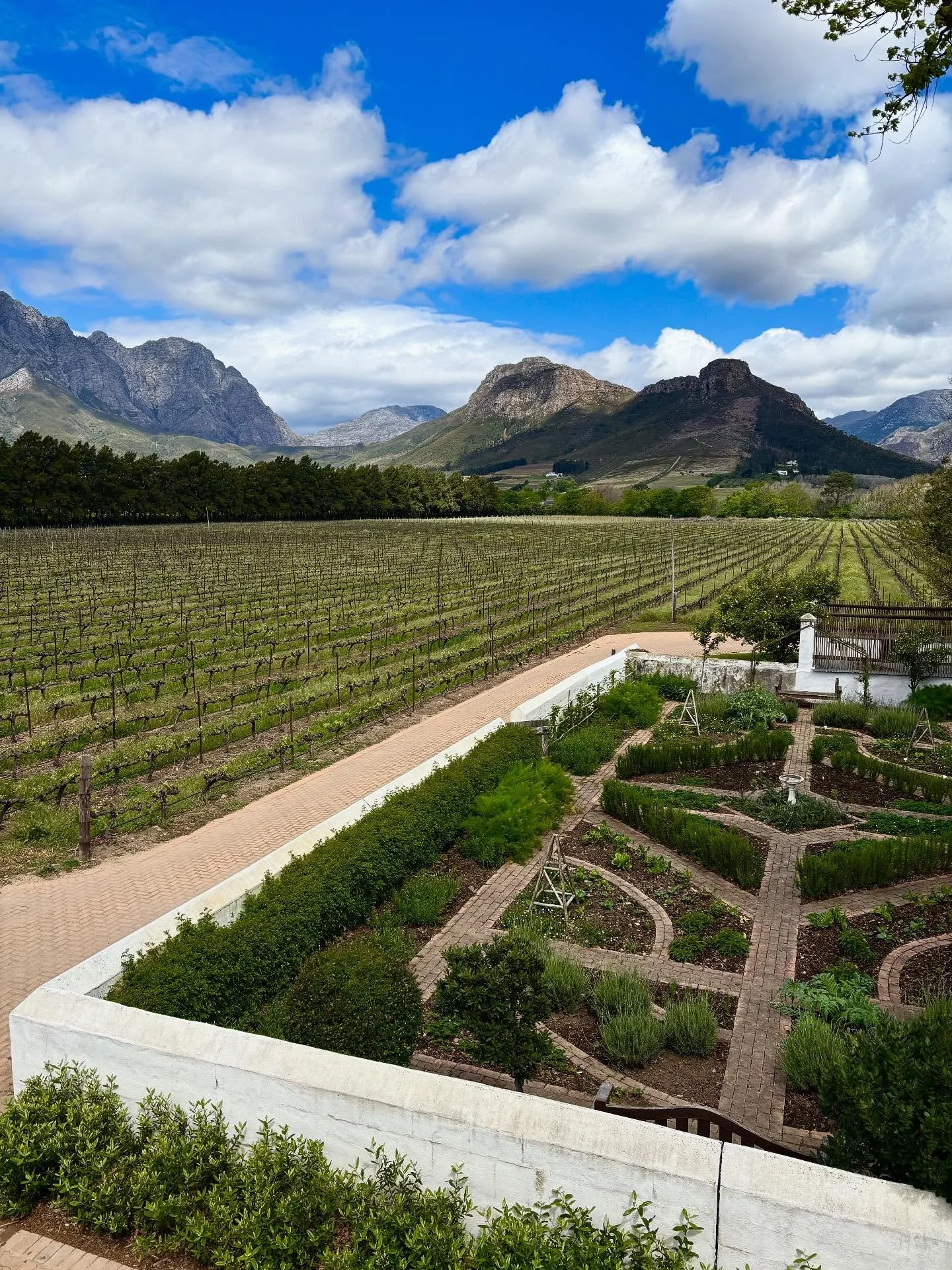 A wonderful week in Cape Town and surrounds enjoying nature, wine, food and the colours of the city!