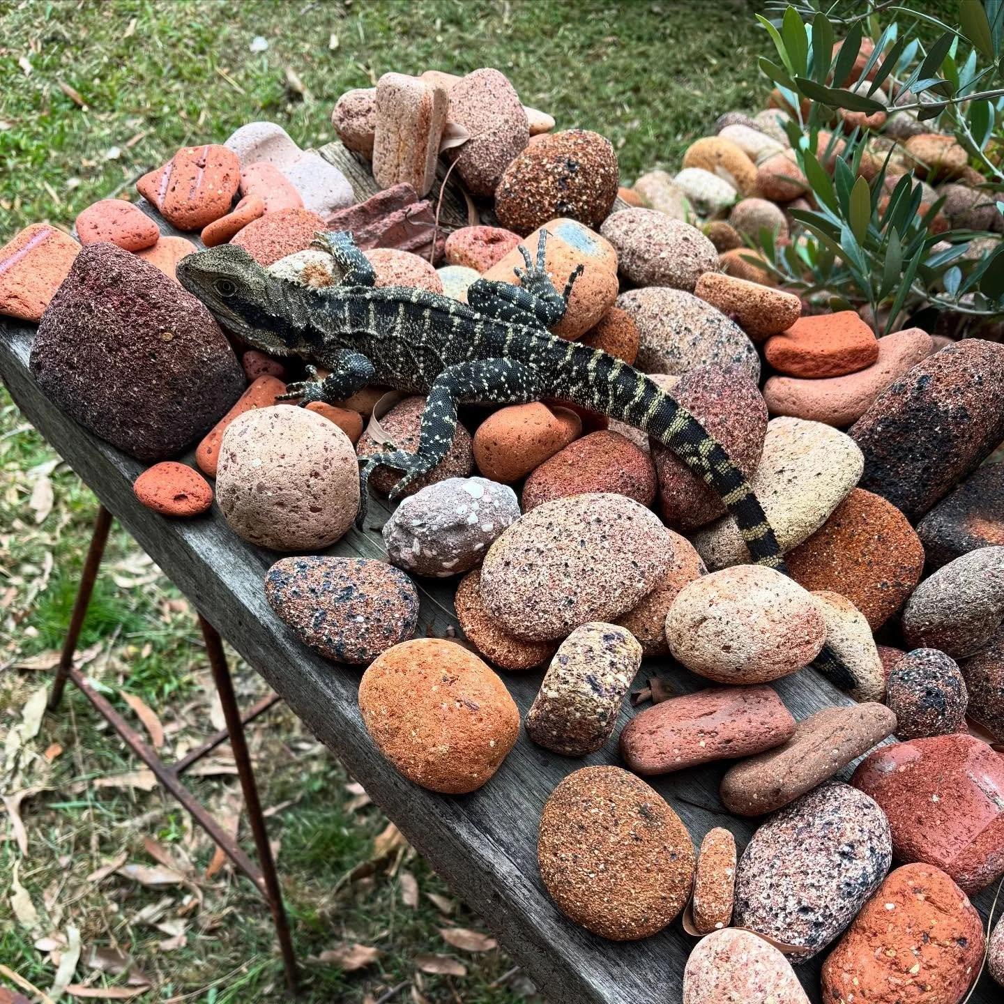 HNY to you from me and my Brick Guardian!