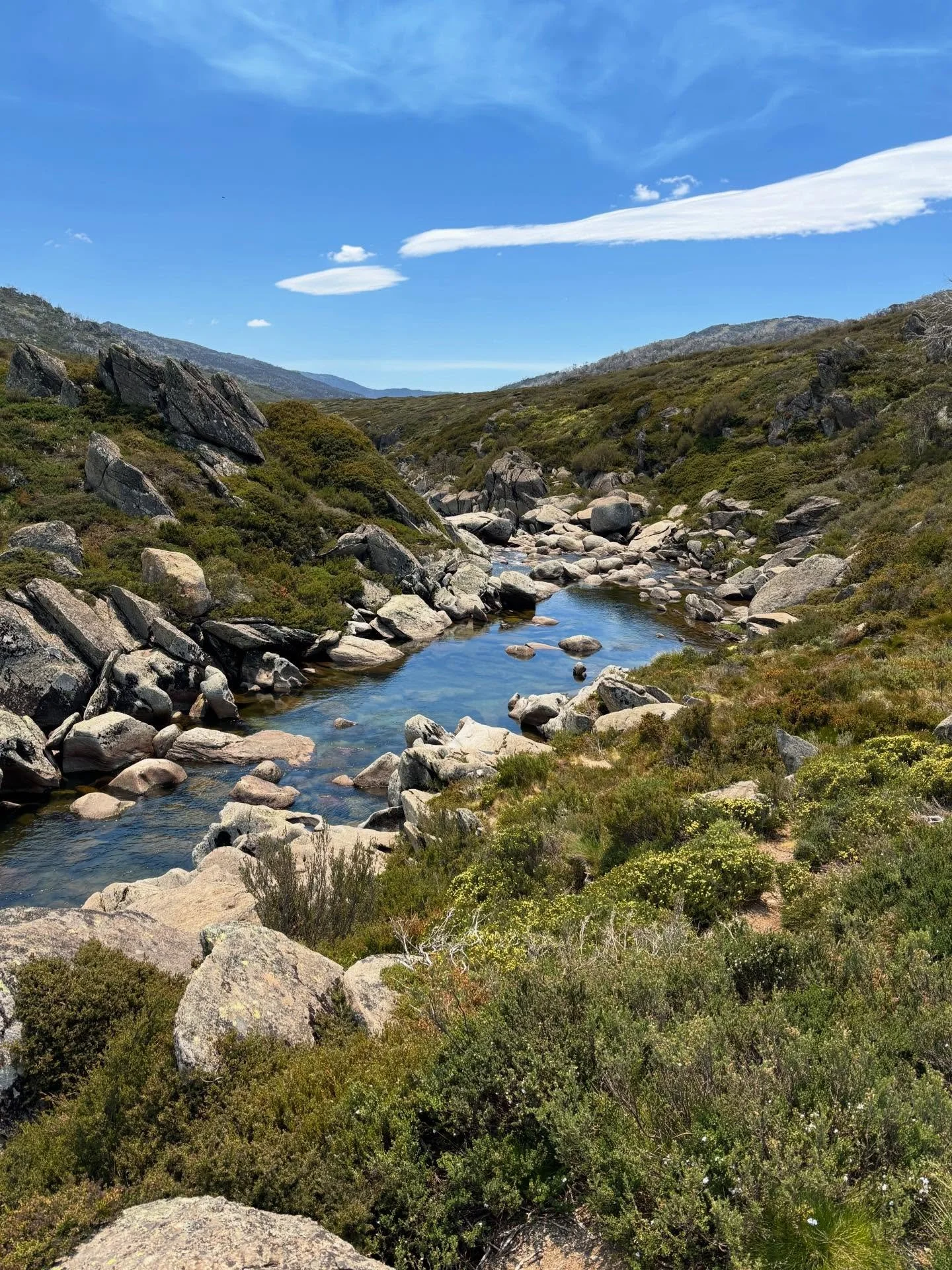 Some lovely walks in Kosciuszko National Park with lovely people!
